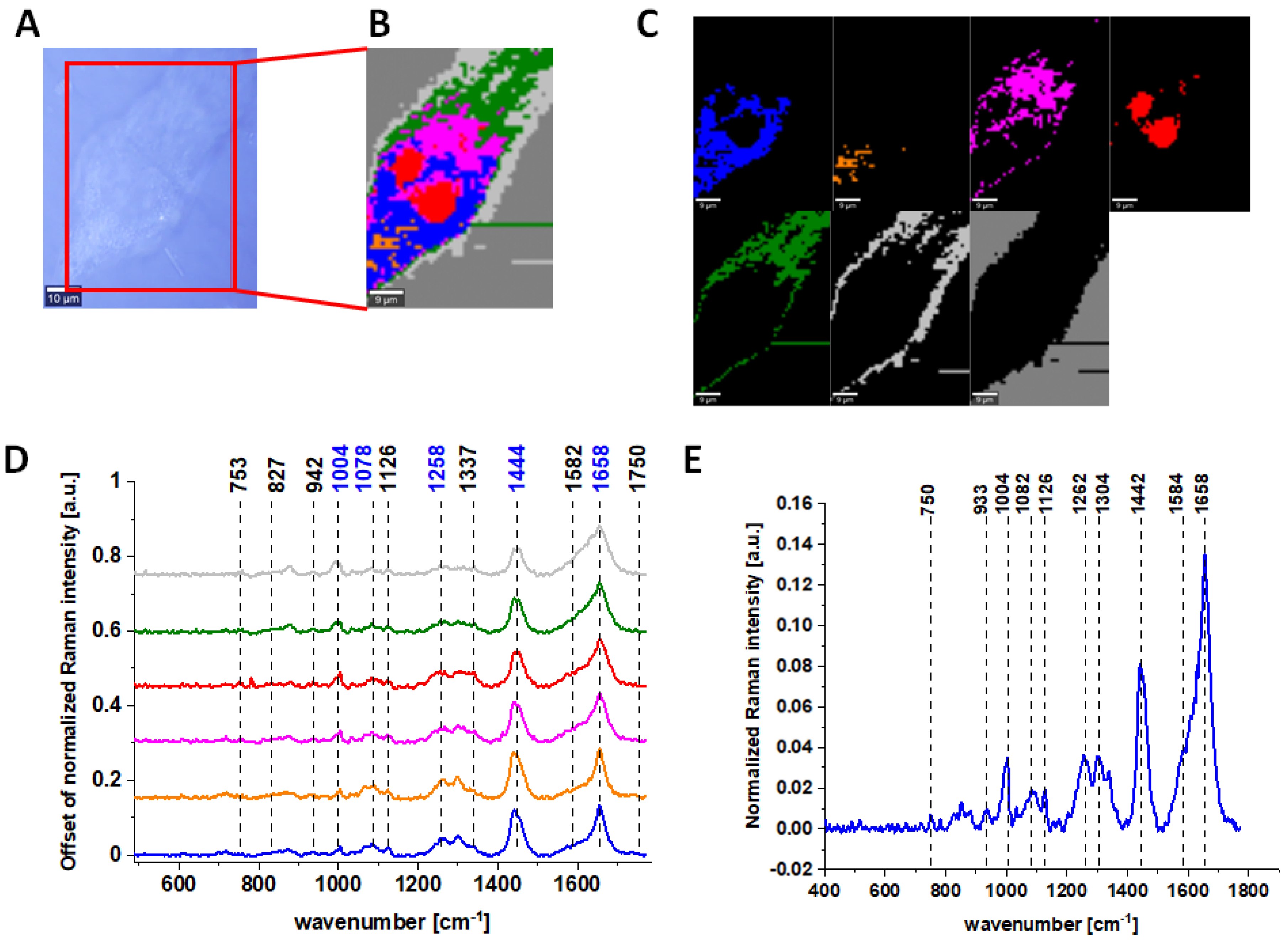Molecules 28 00137 g005