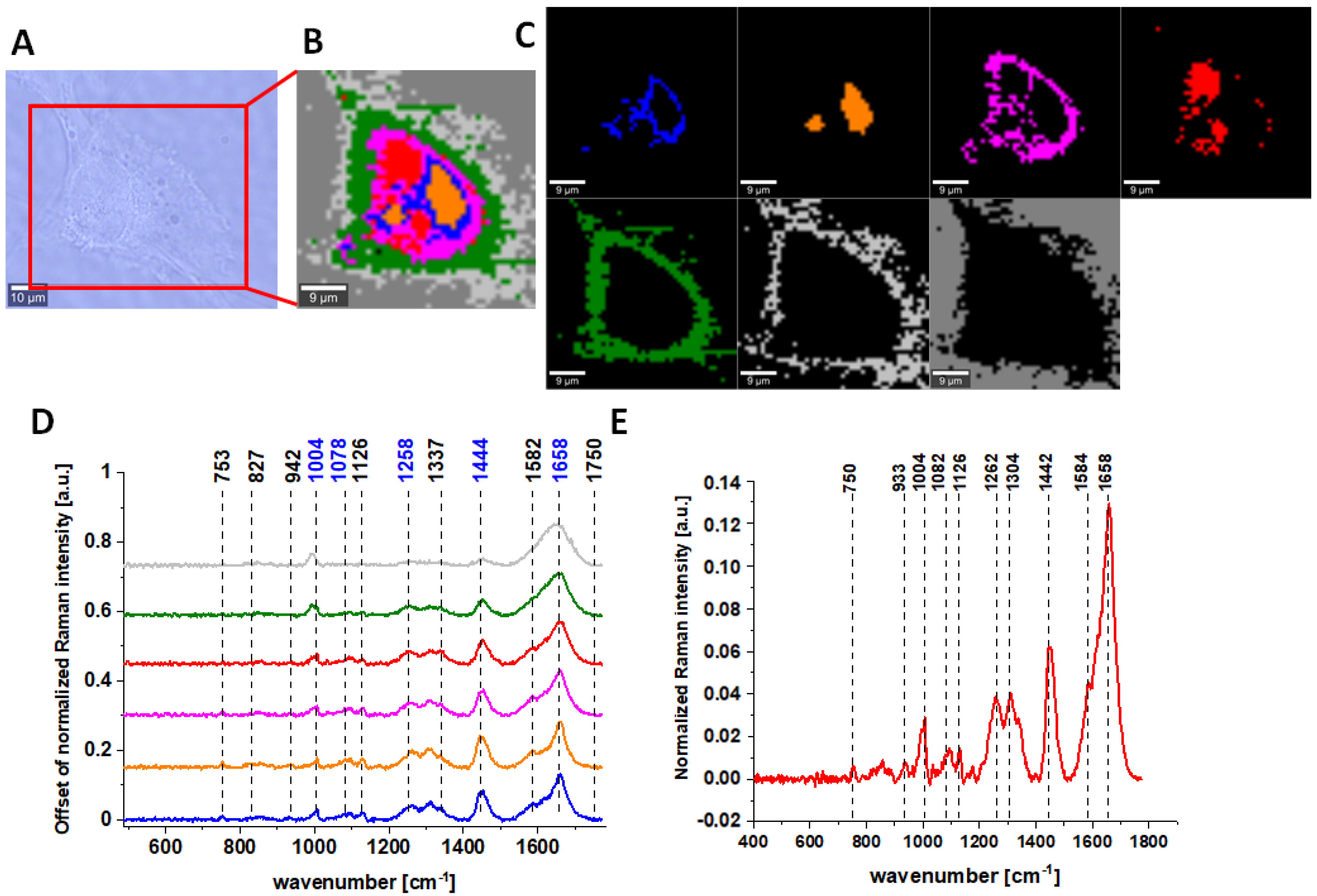 Molecules 28 00137 g006