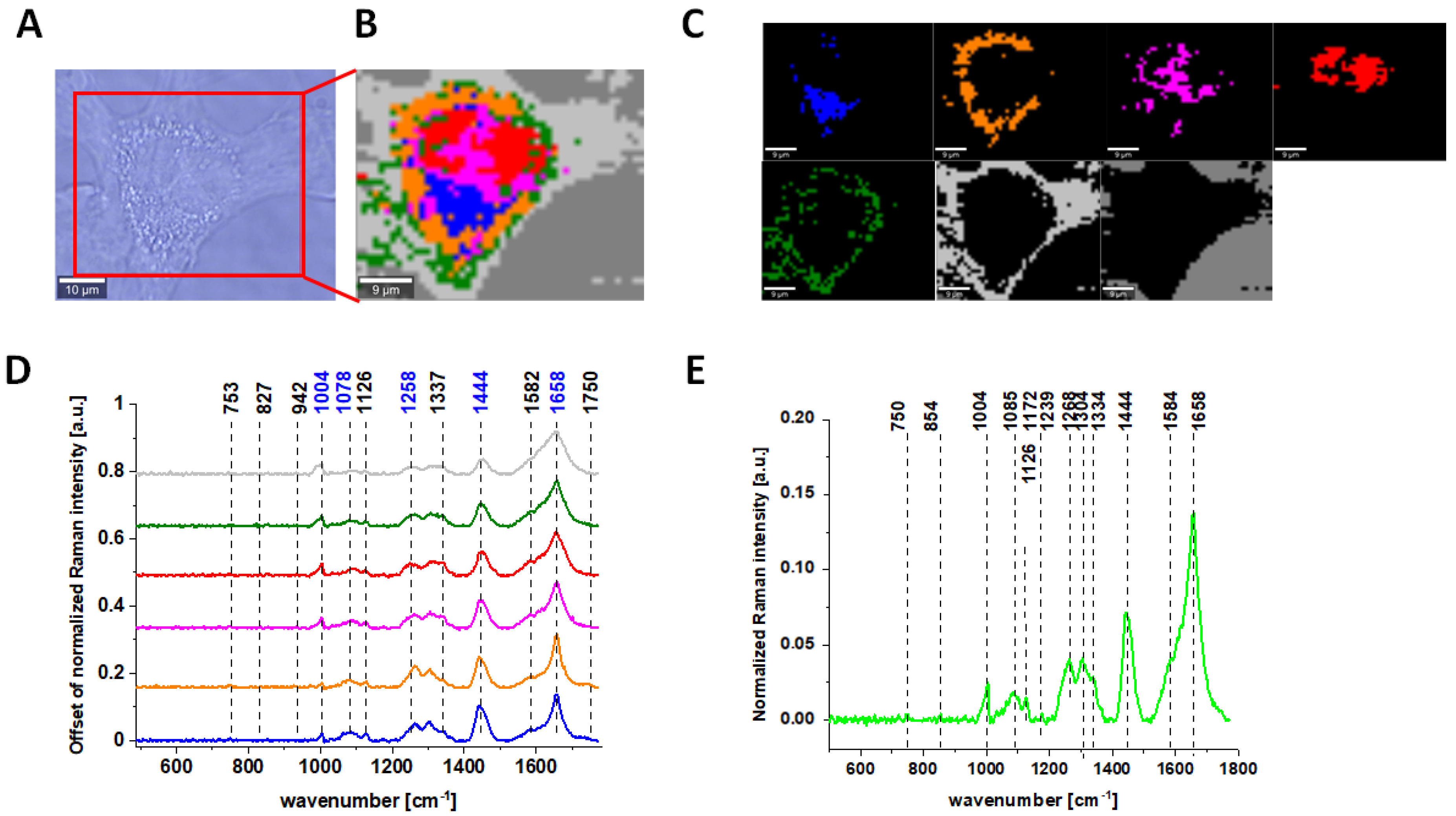 Molecules 28 00137 g007