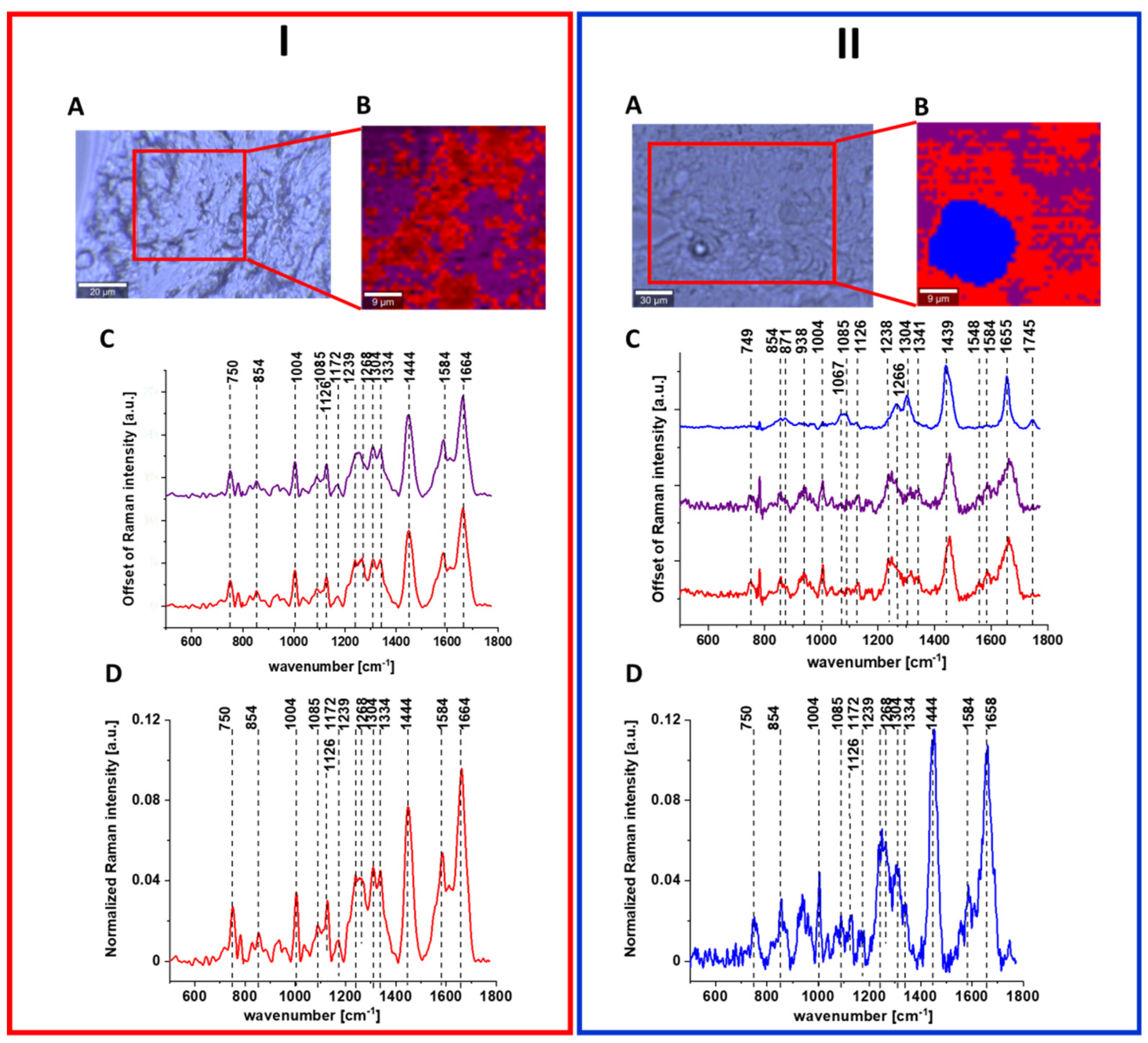 Molecules 28 00137 g008
