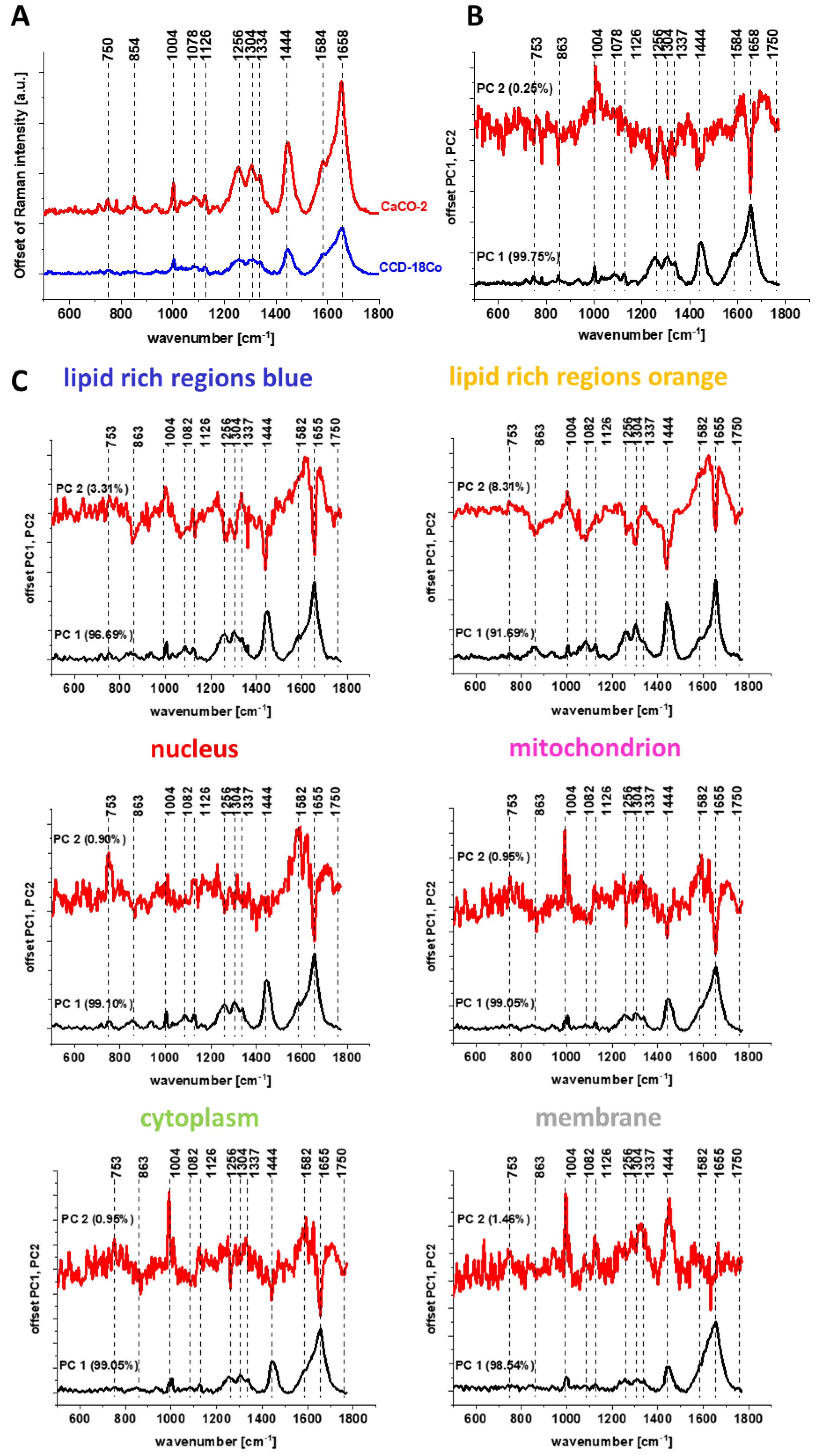 Molecules 28 00137 g011