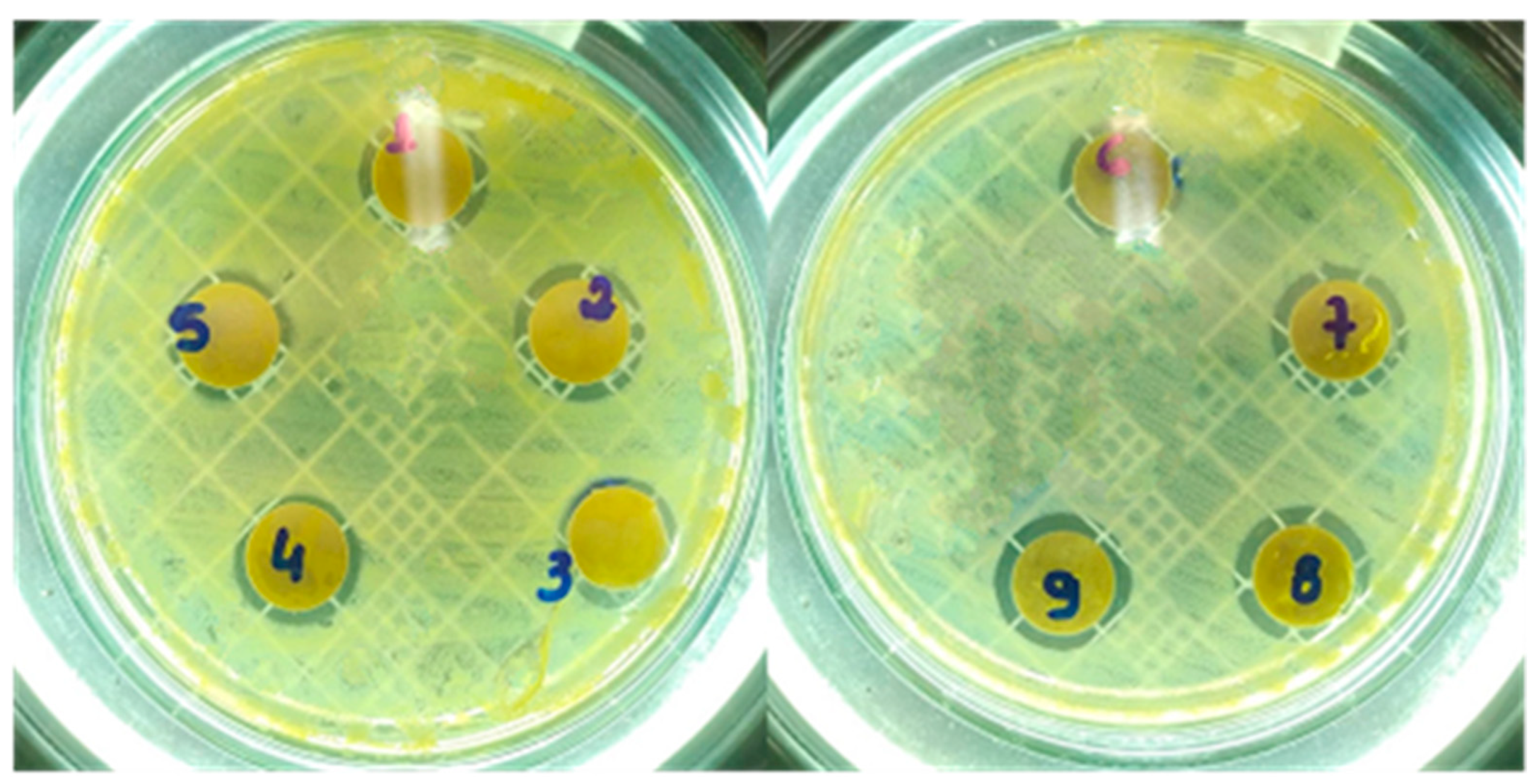 Molecules 28 00142 g005 Molecules 28 00142 g005