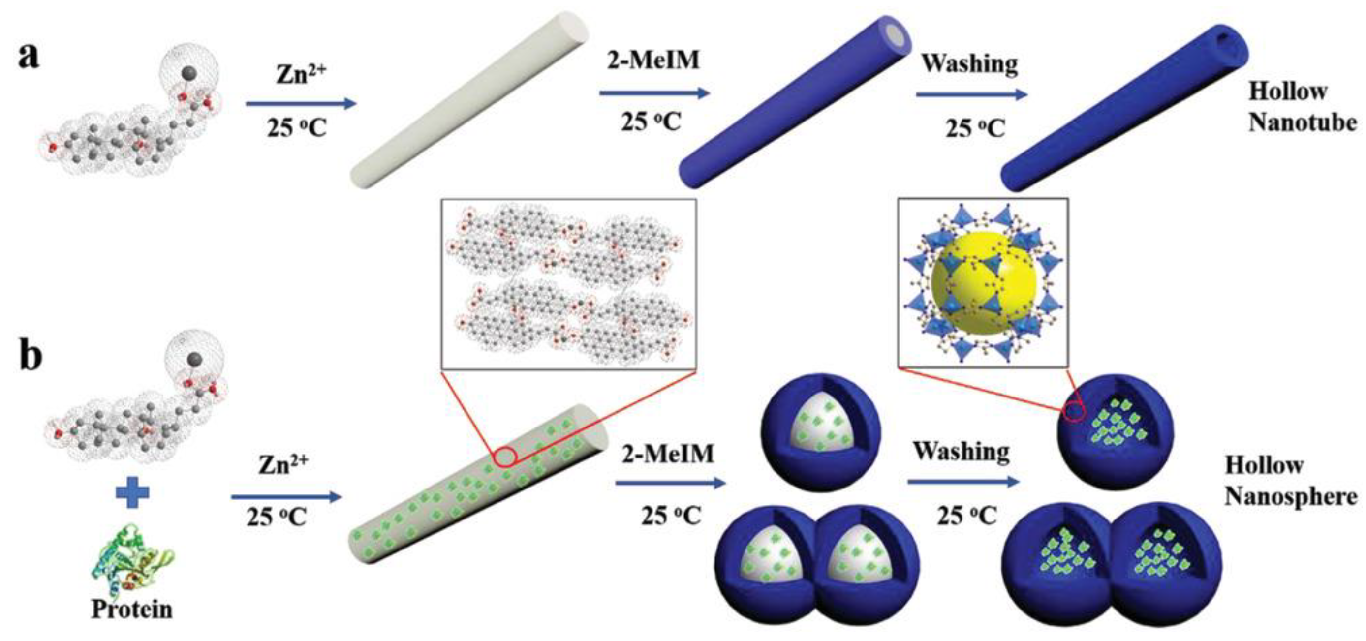 Molecules 28 00144 g003 Molecules 28 00144 g003