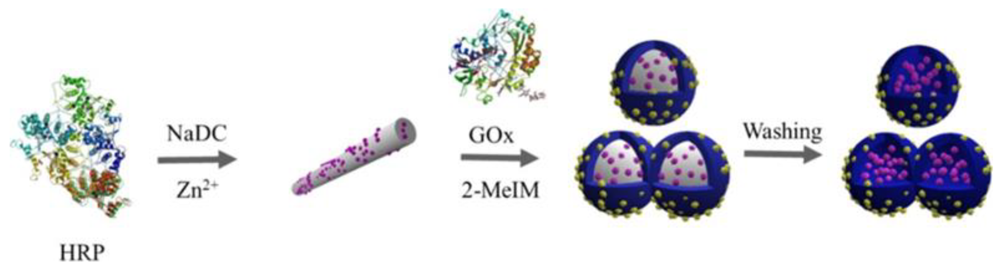 Molecules 28 00144 g004 Molecules 28 00144 g004