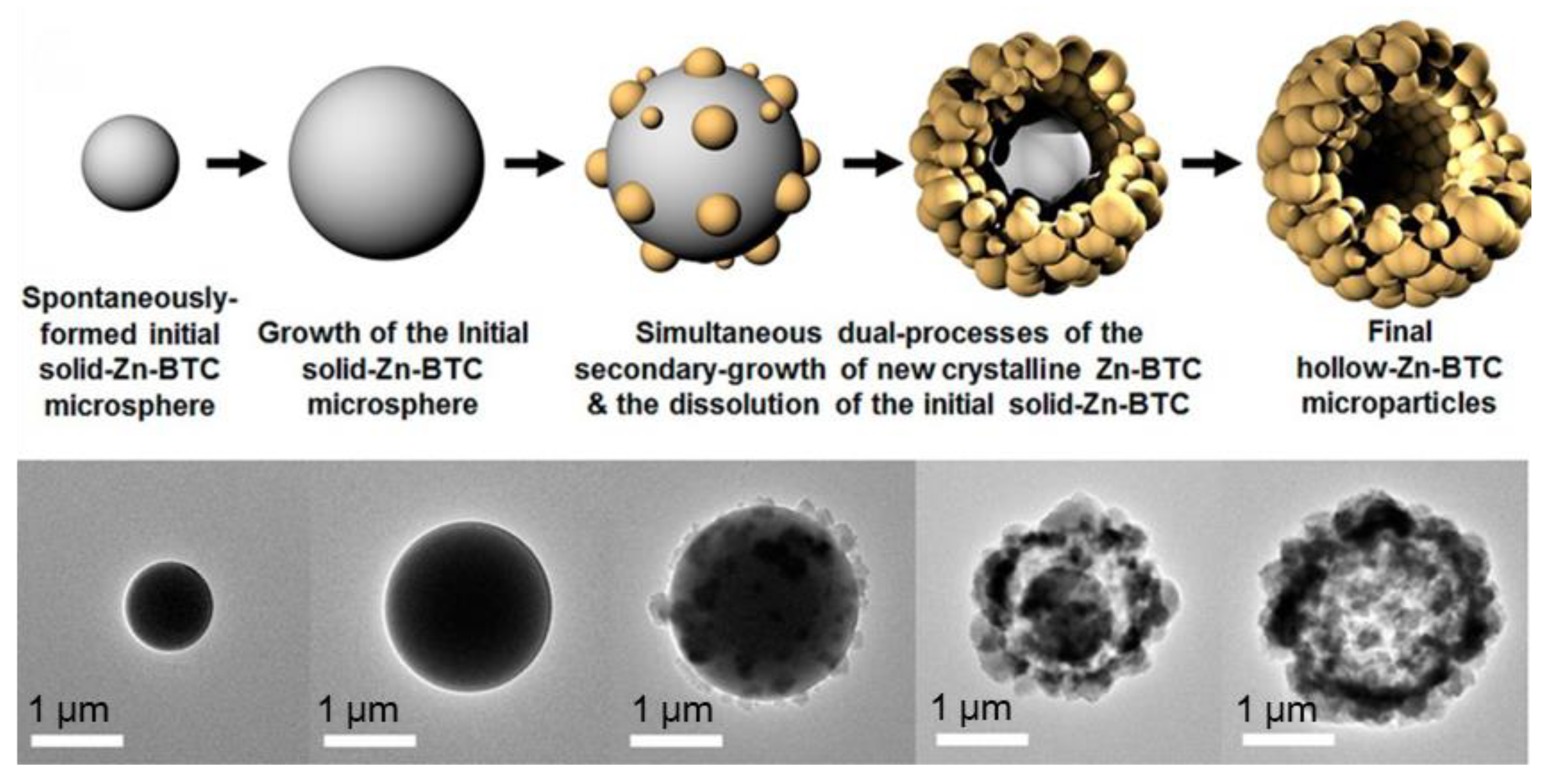 Molecules 28 00144 g005 Molecules 28 00144 g005