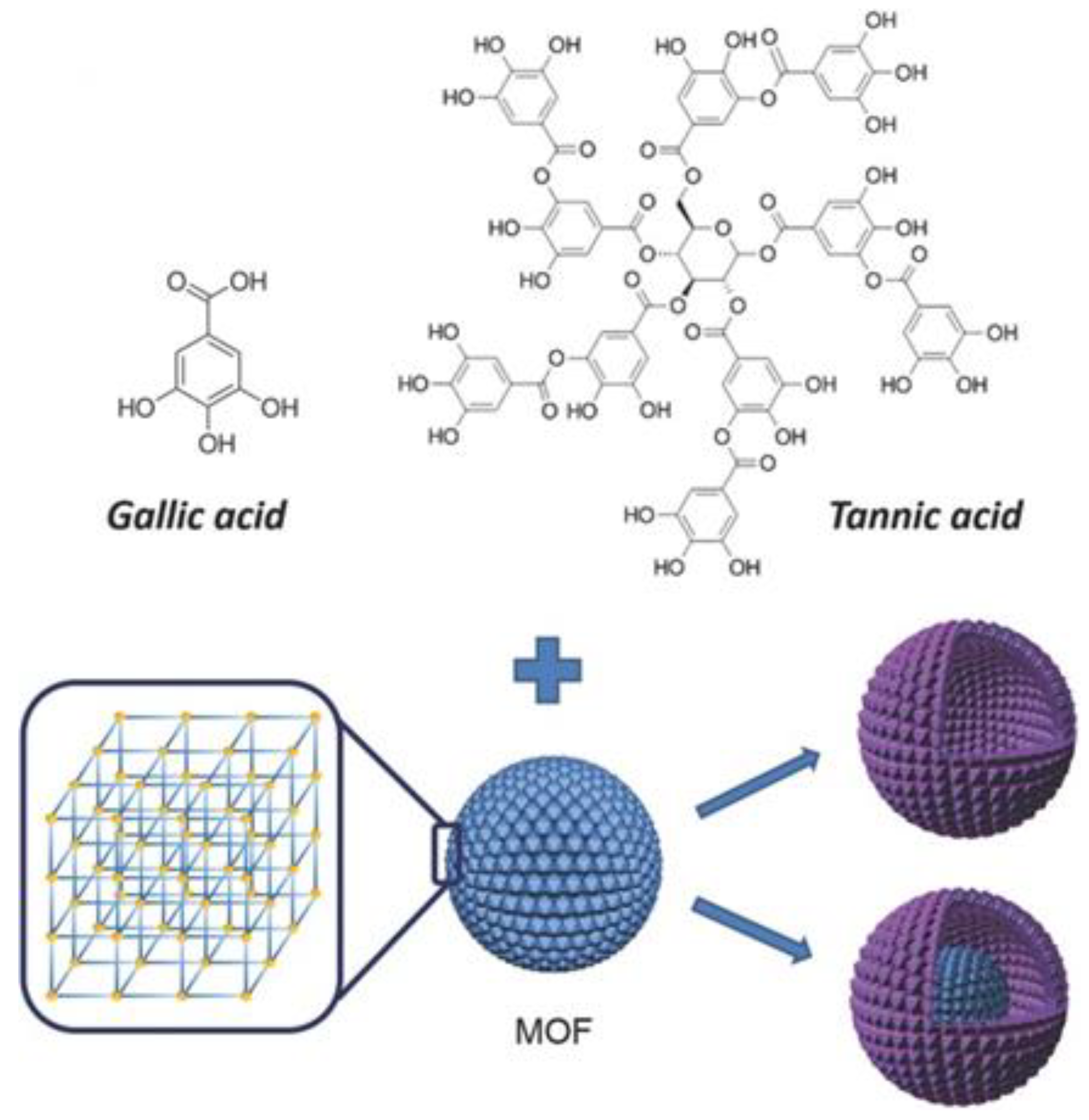 Molecules 28 00144 g007 Molecules 28 00144 g007
