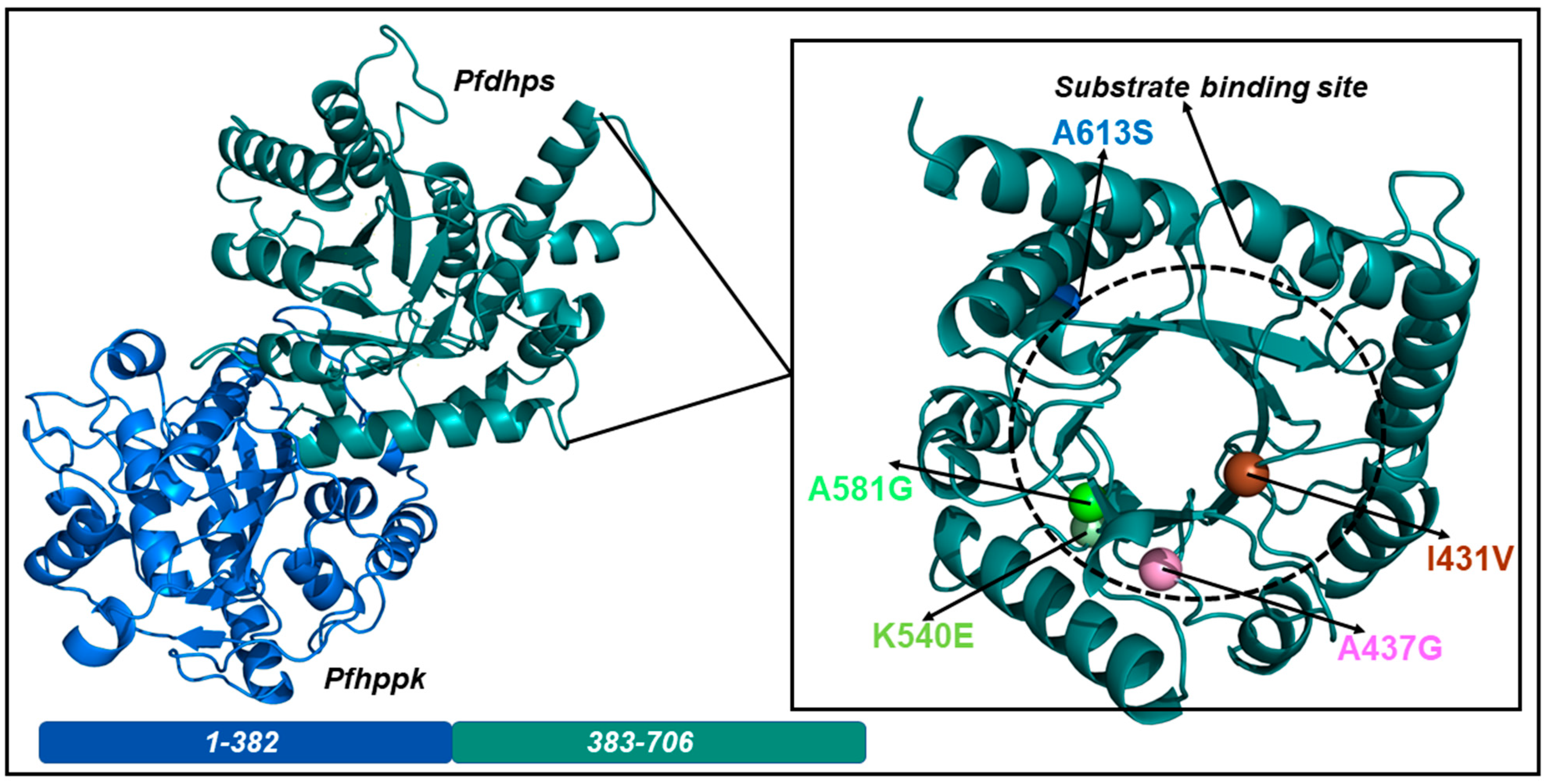 Molecules 28 00145 g001 Molecules 28 00145 g001