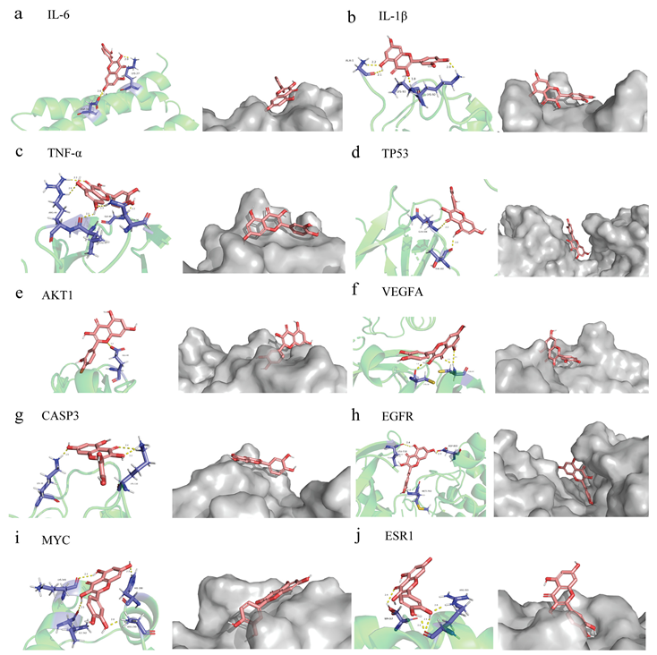 Molecules 28 00146 g004 Molecules 28 00146 g004