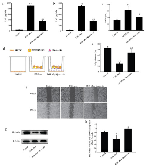 Efficacy and Mechanism of Quercetin in the Treatment of Experimental ...