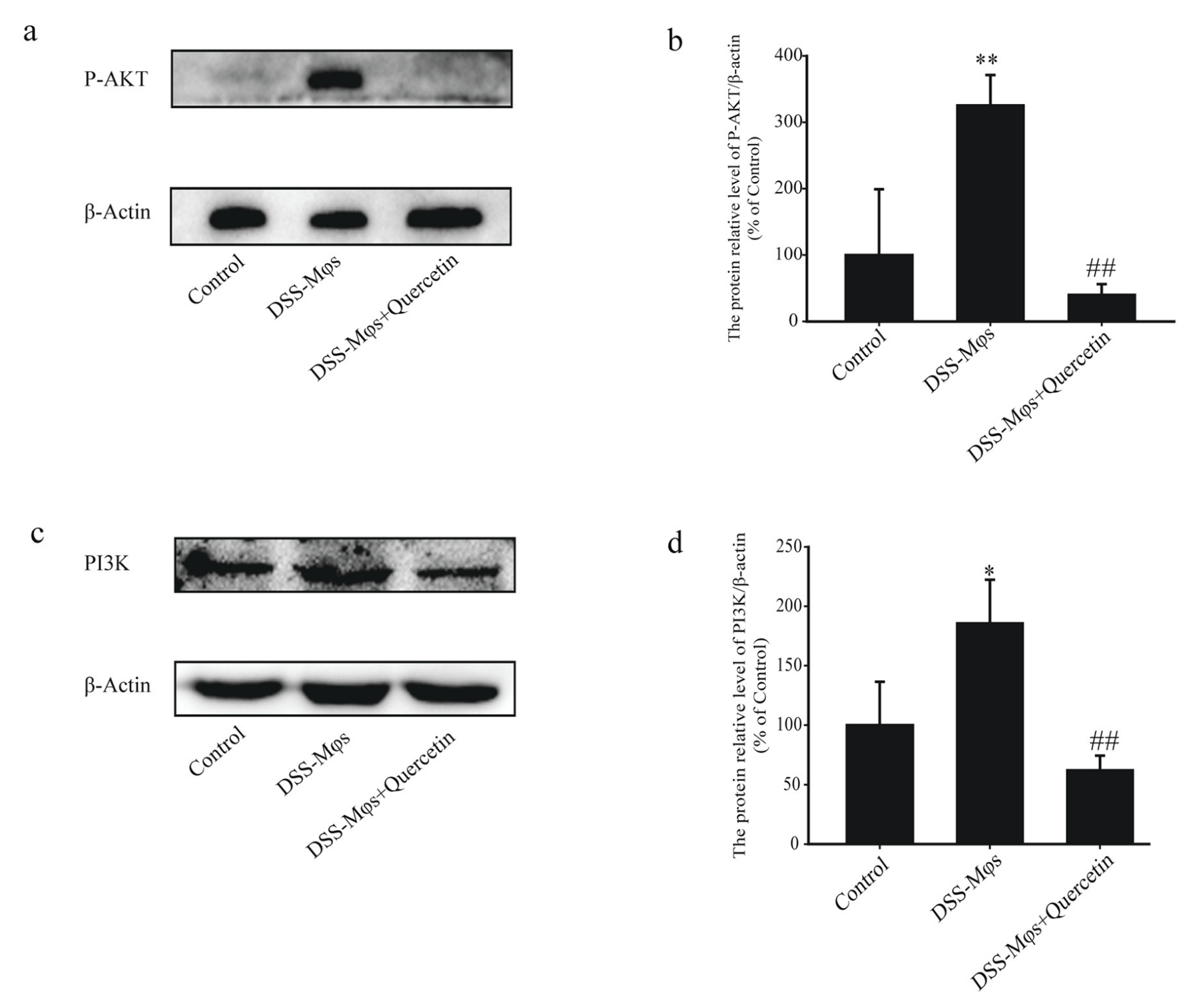Molecules 28 00146 g008 Molecules 28 00146 g008