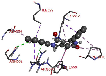 Molecules 28 00149 i005 Molecules 28 00149 i005