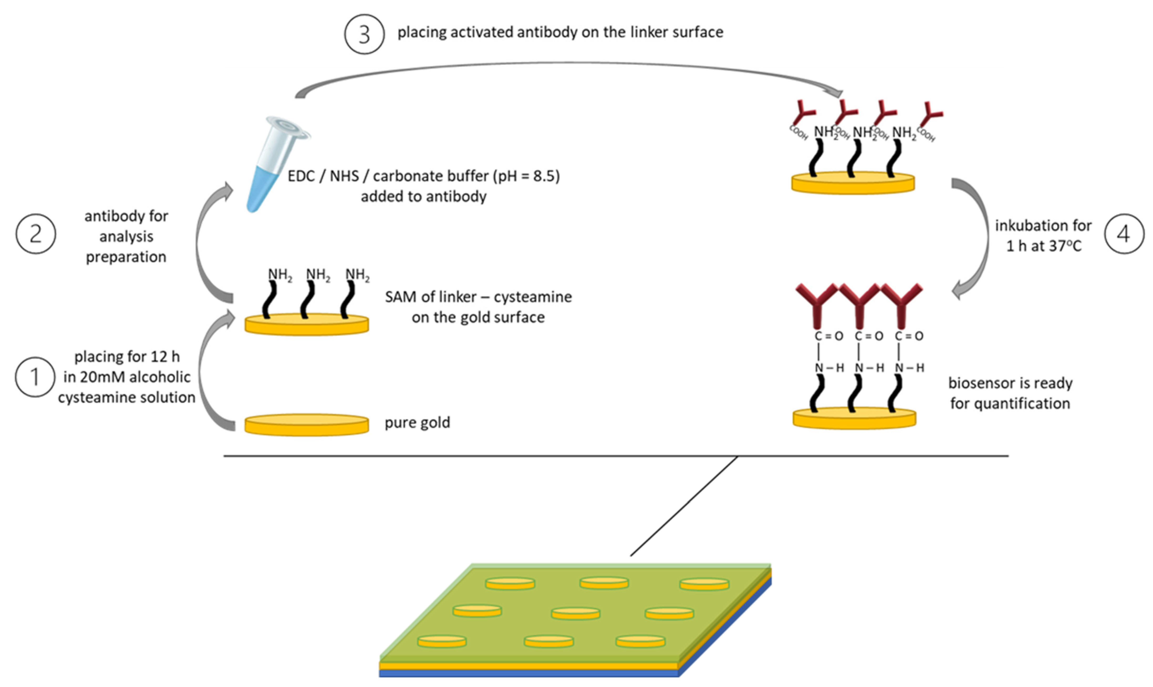Molecules 28 00155 g001