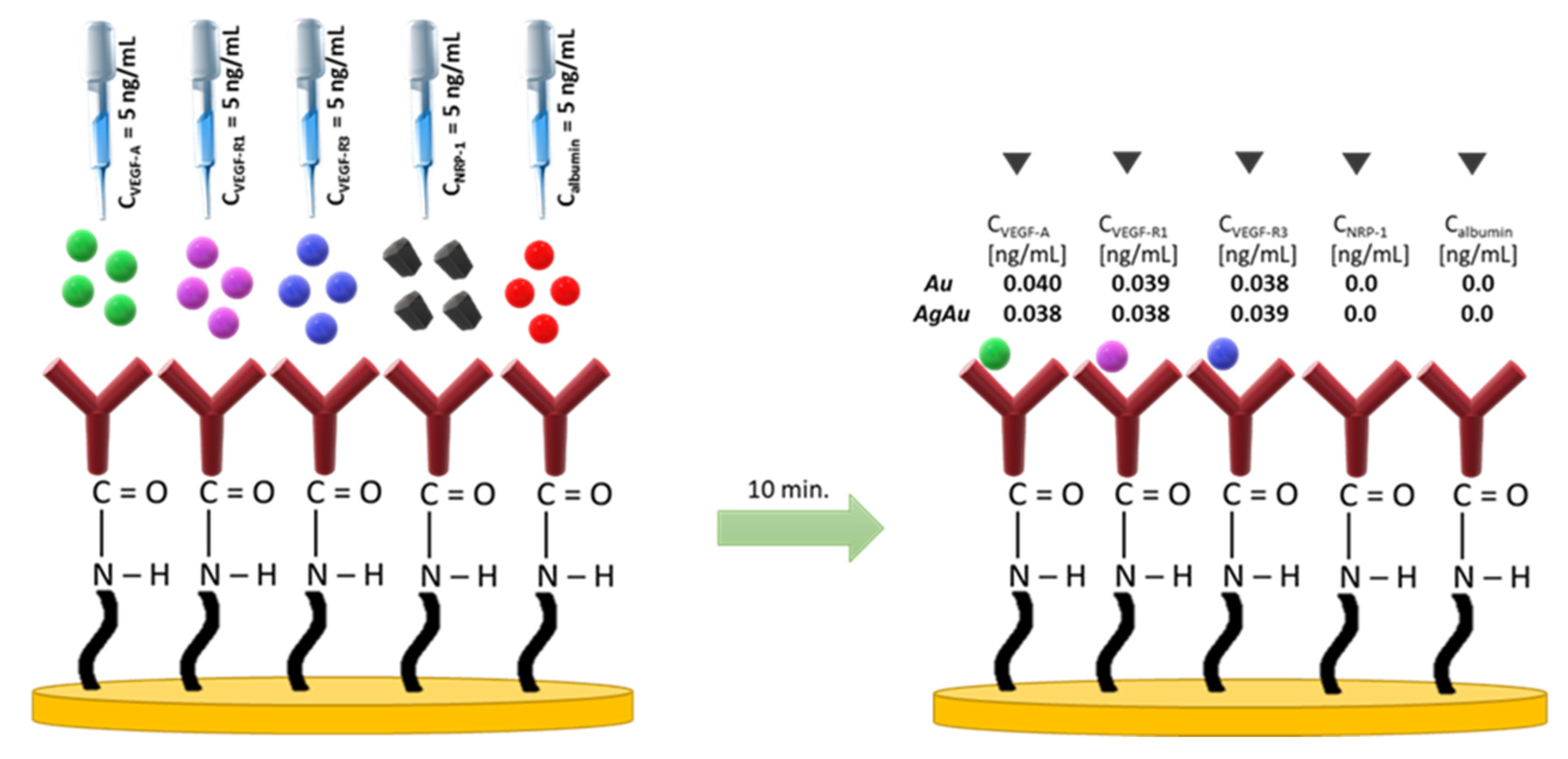 Molecules 28 00155 g0a2