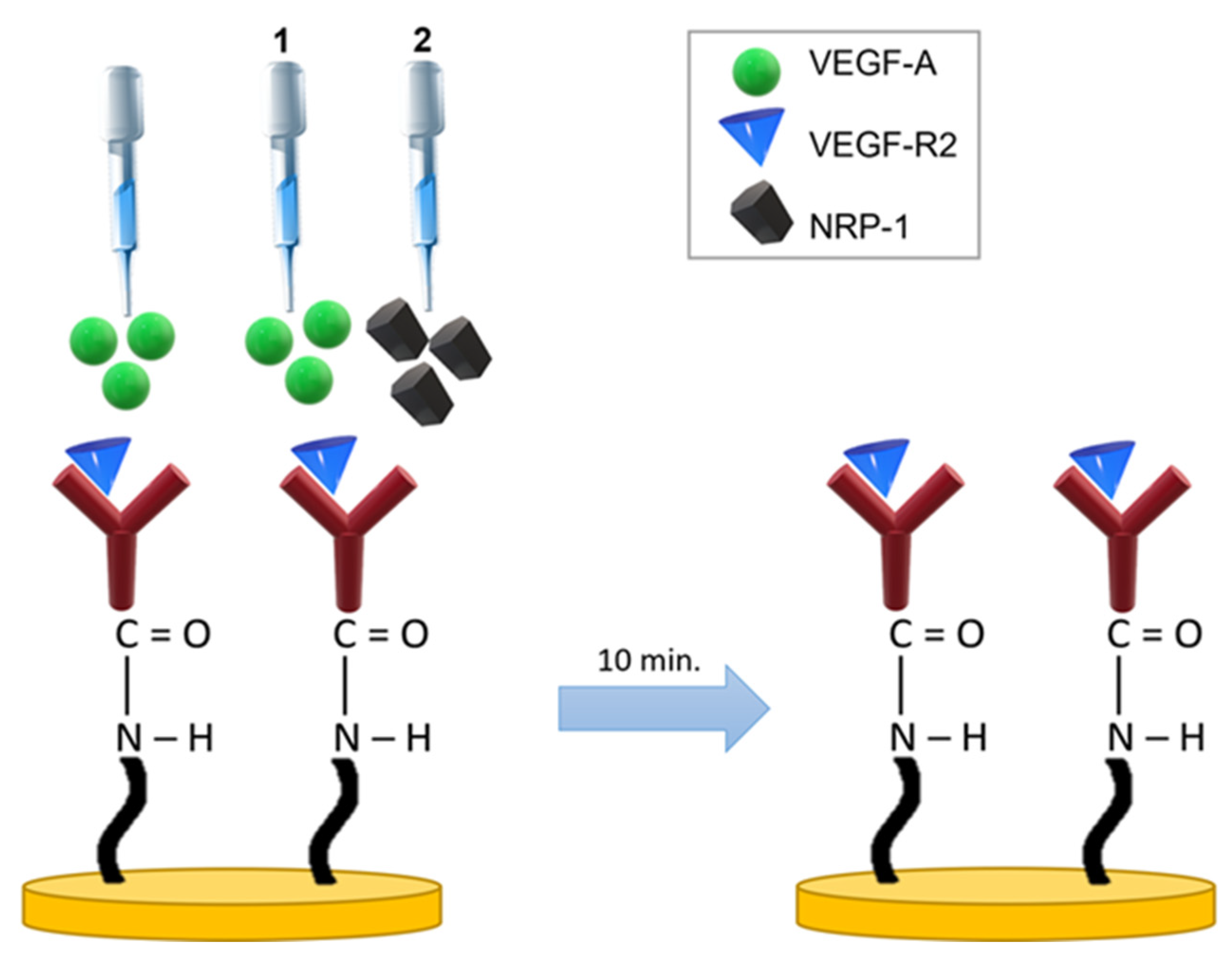 Molecules 28 00155 g0a3
