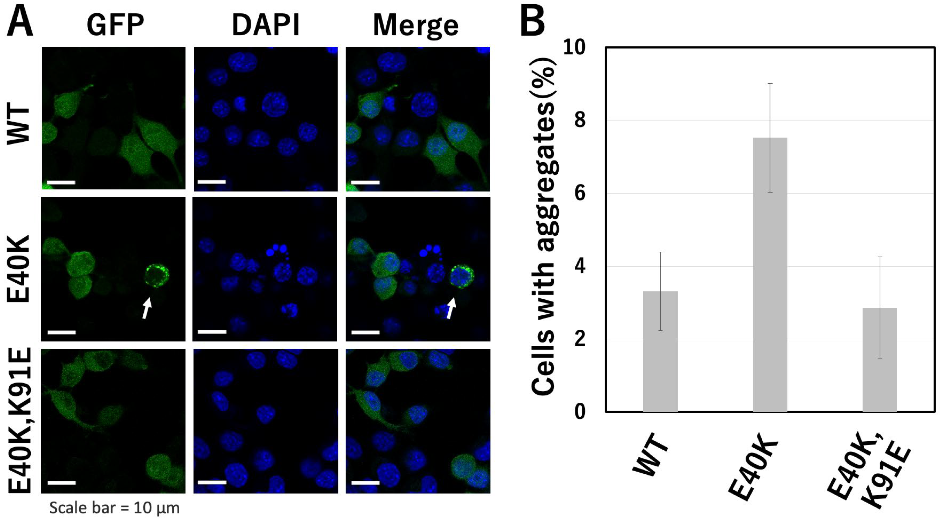 Molecules 28 00156 g004 Molecules 28 00156 g004