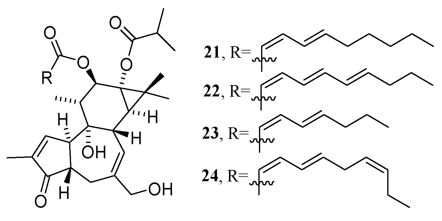 Molecules 28 00157 g012 Molecules 28 00157 g012