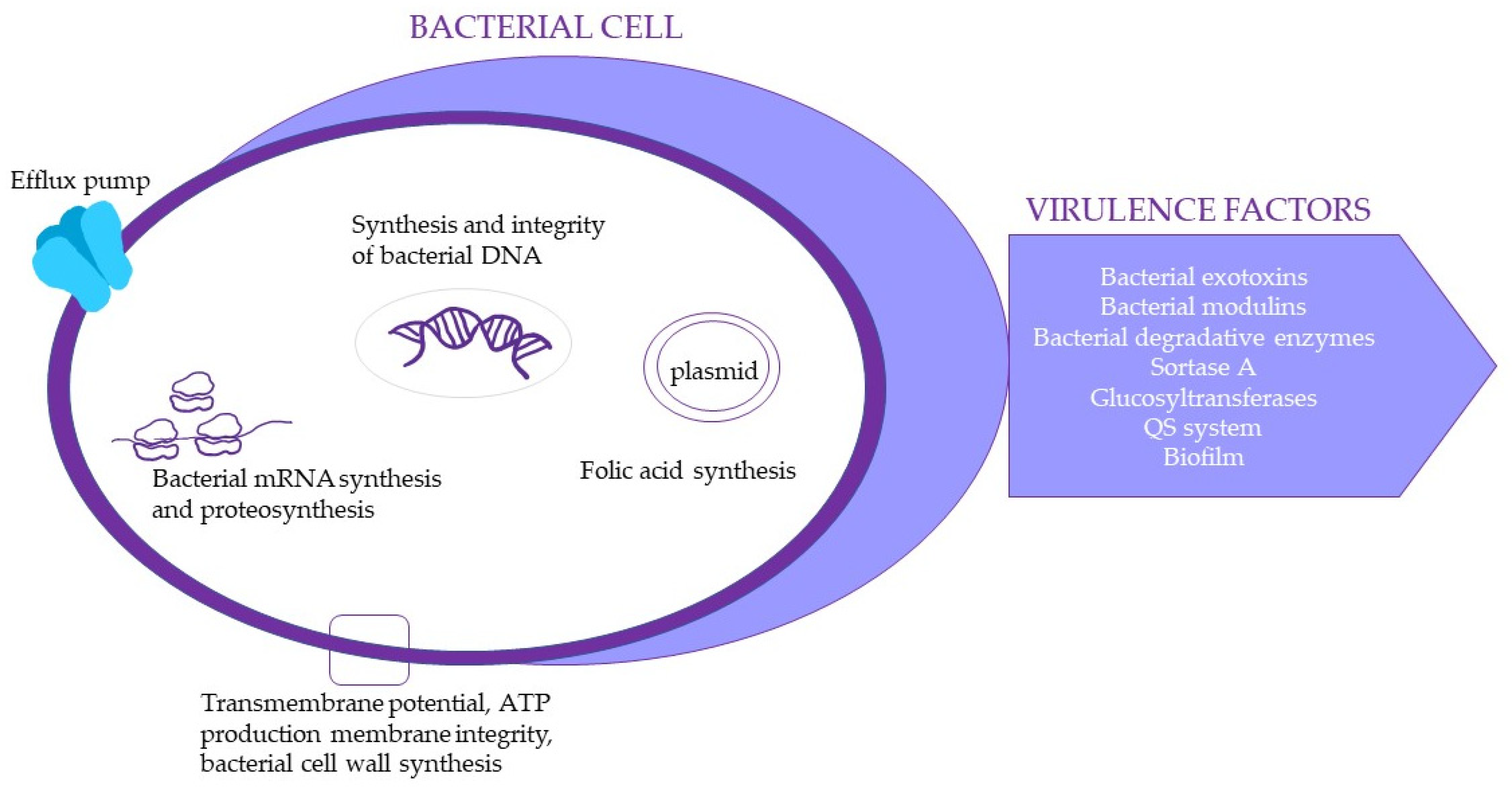 Molecules 28 00158 g002