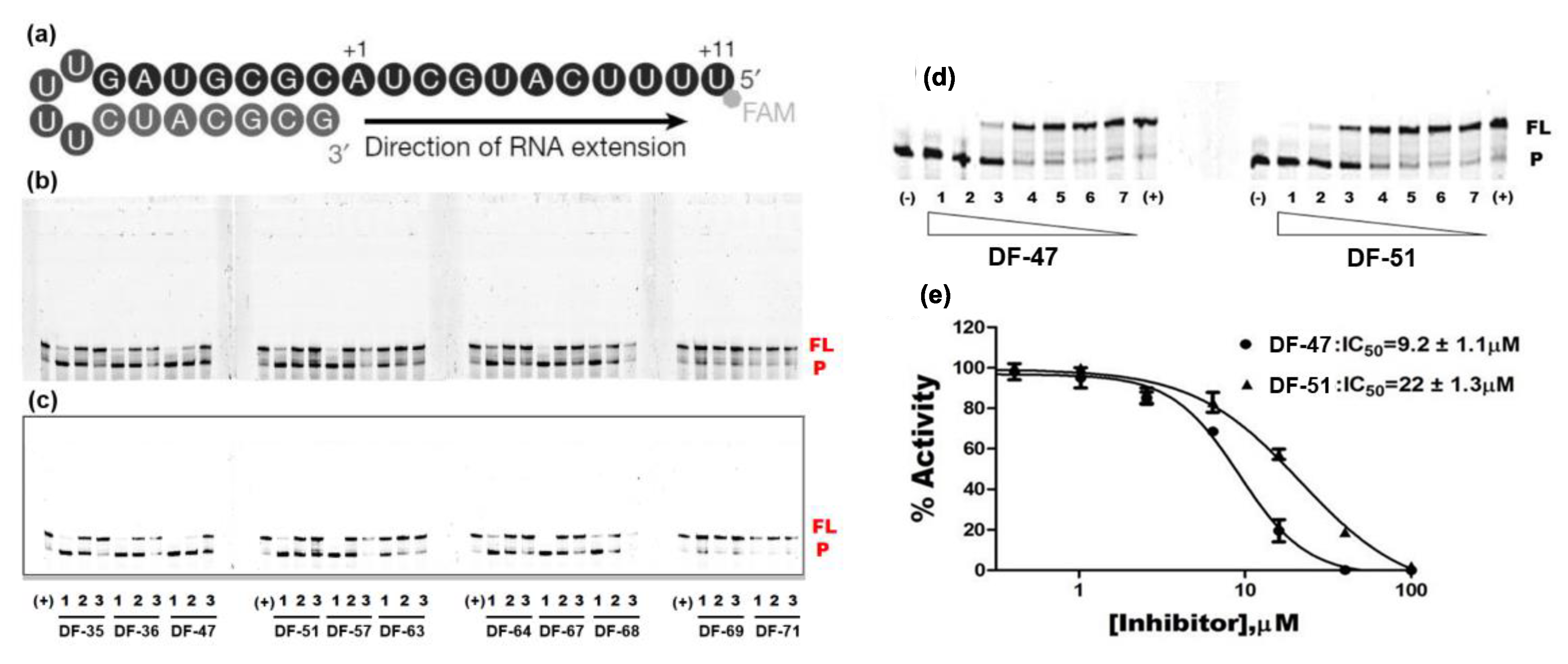 Molecules 28 00160 g003