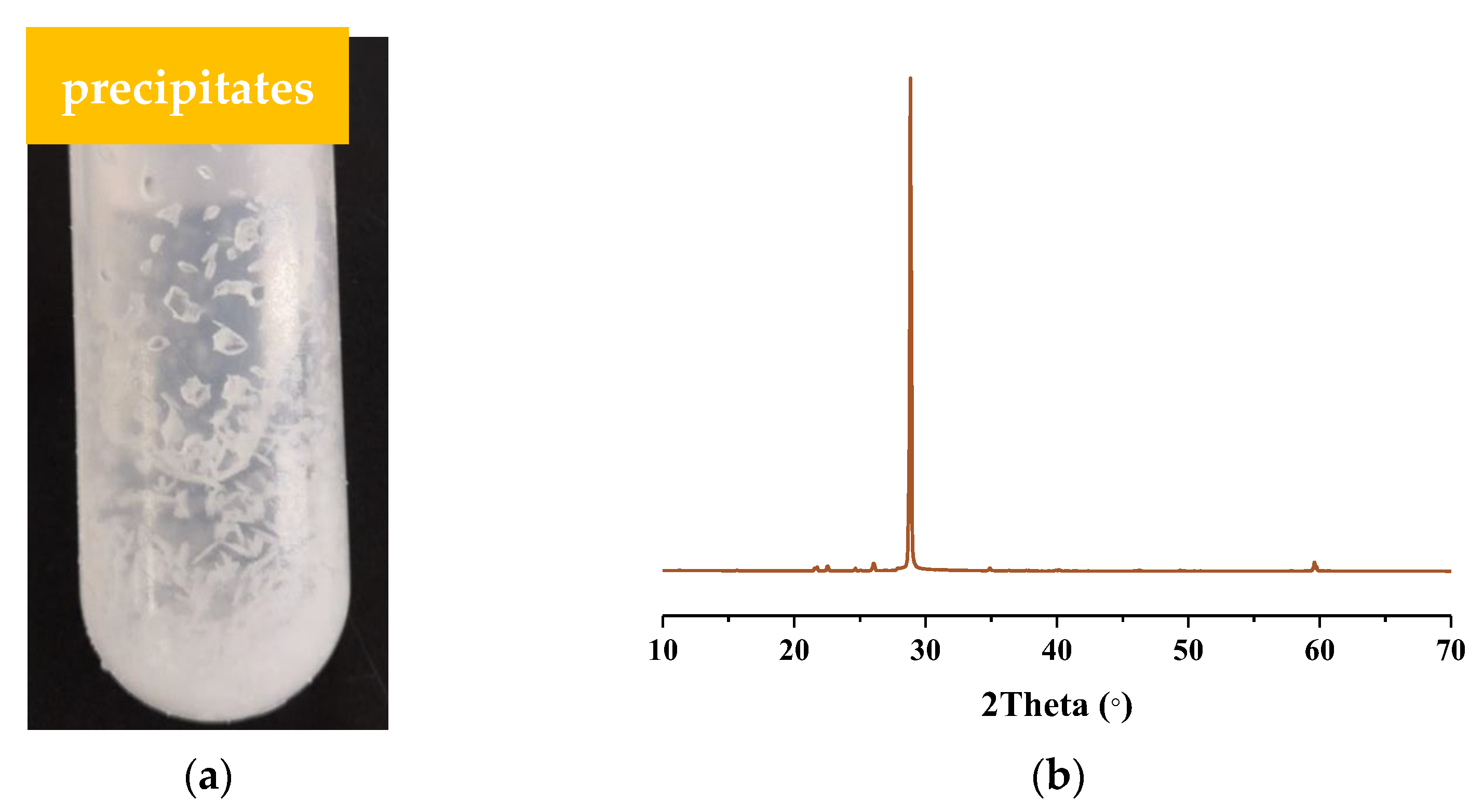 Molecules 28 00162 g001