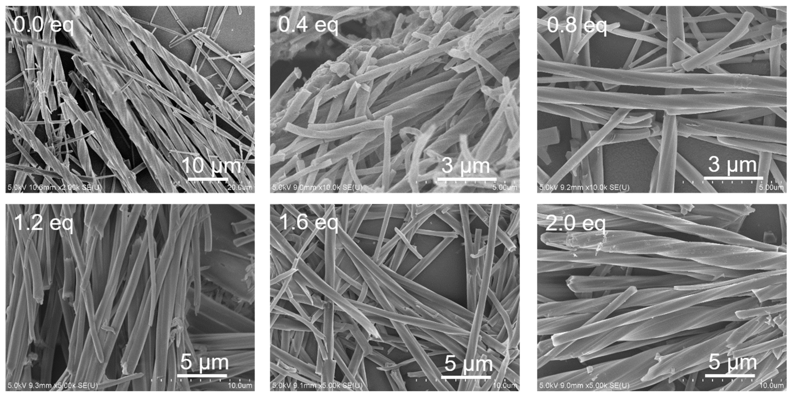 Molecules 28 00163 g005