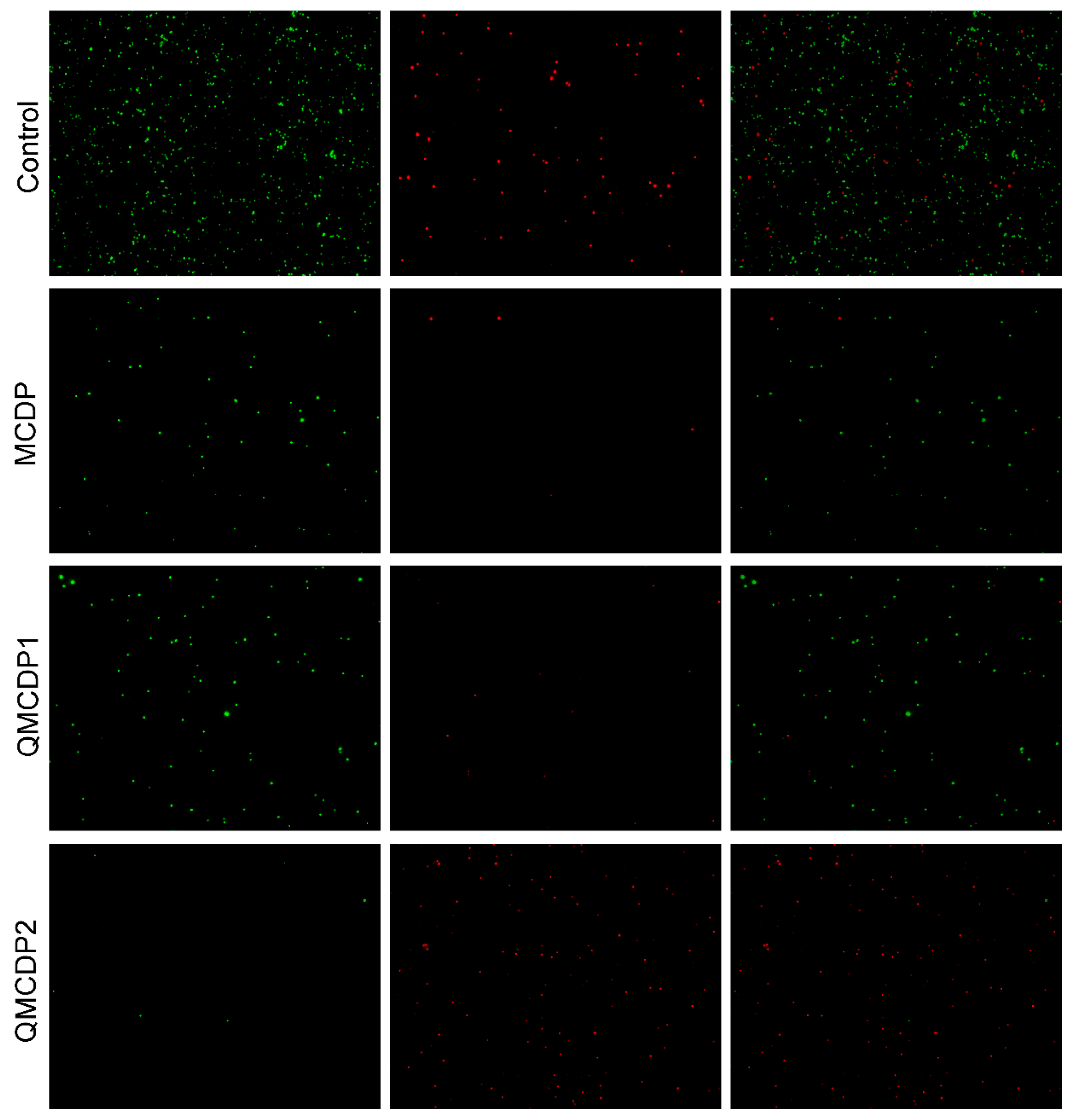Molecules 28 00167 g010 Molecules 28 00167 g010