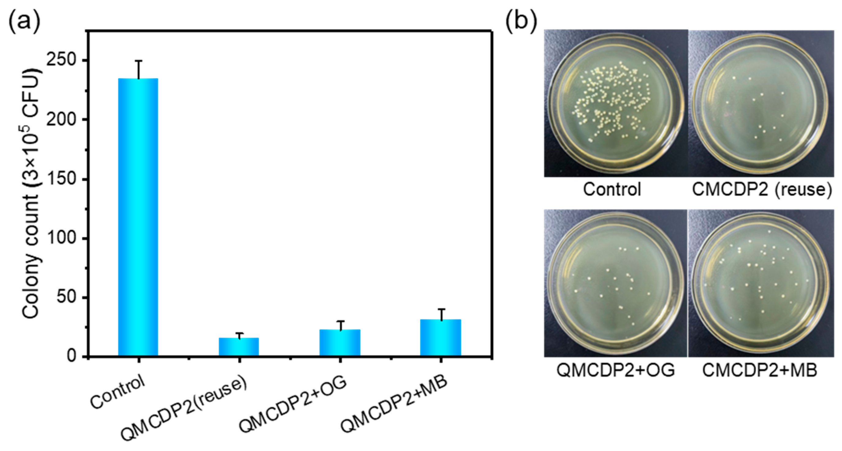 Molecules 28 00167 g011 Molecules 28 00167 g011