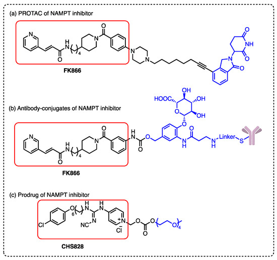 Synthesis and Evaluation of Reactive Oxygen Species