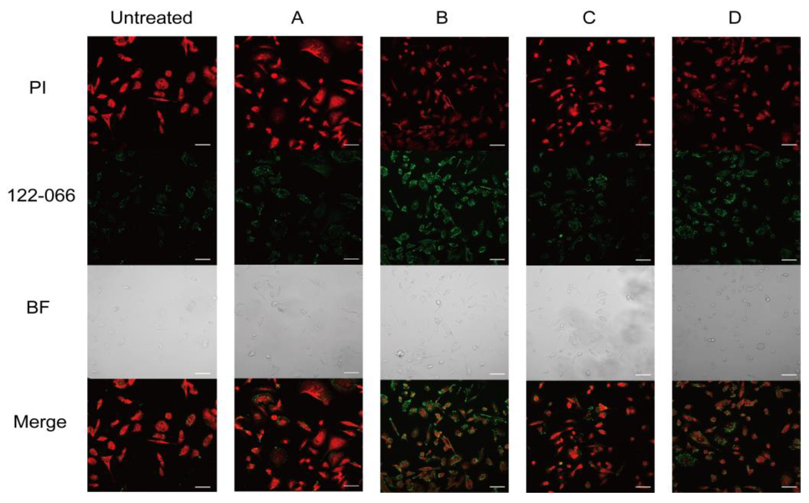 Molecules 28 00169 g006 Molecules 28 00169 g006
