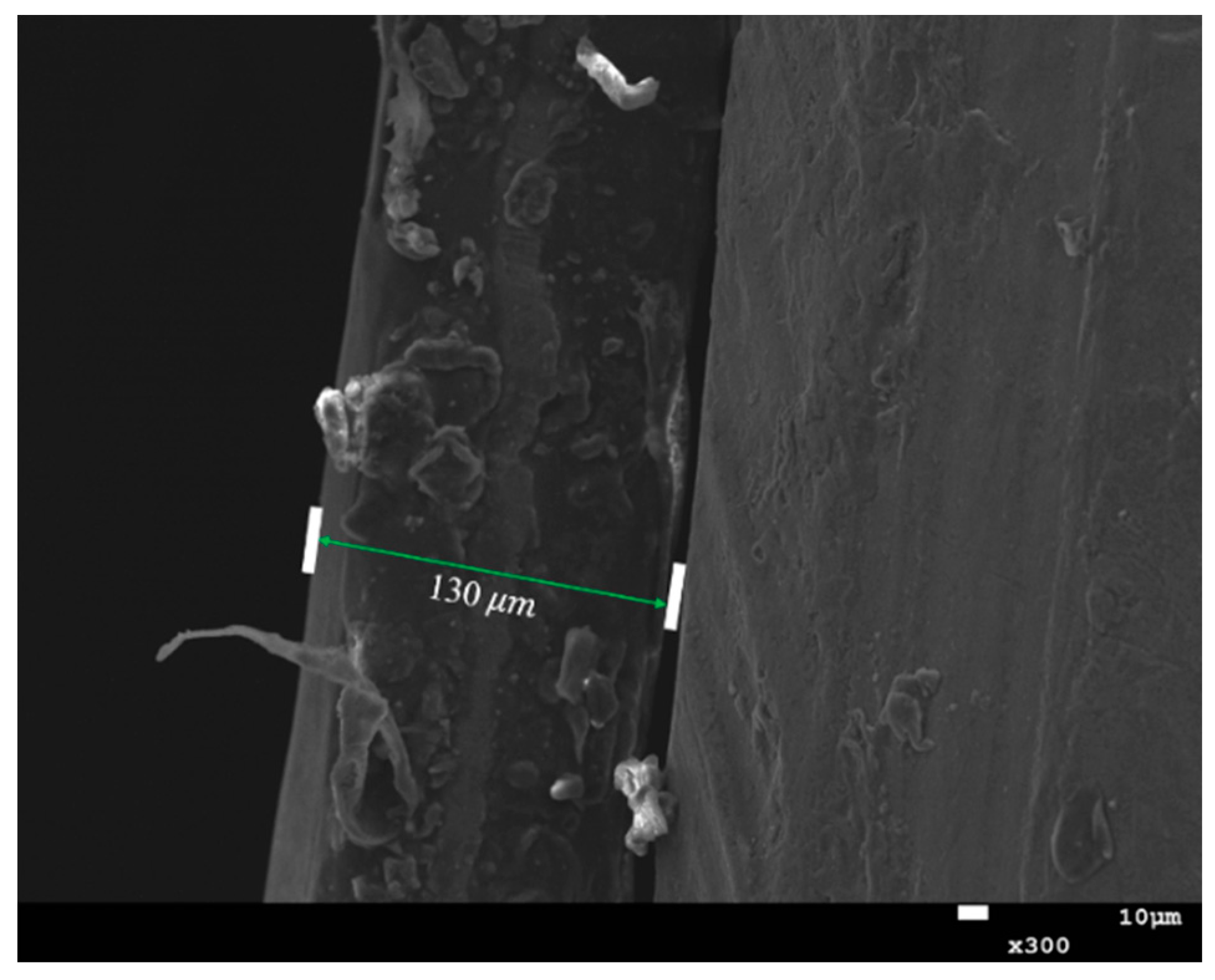 Molecules 28 00171 g007