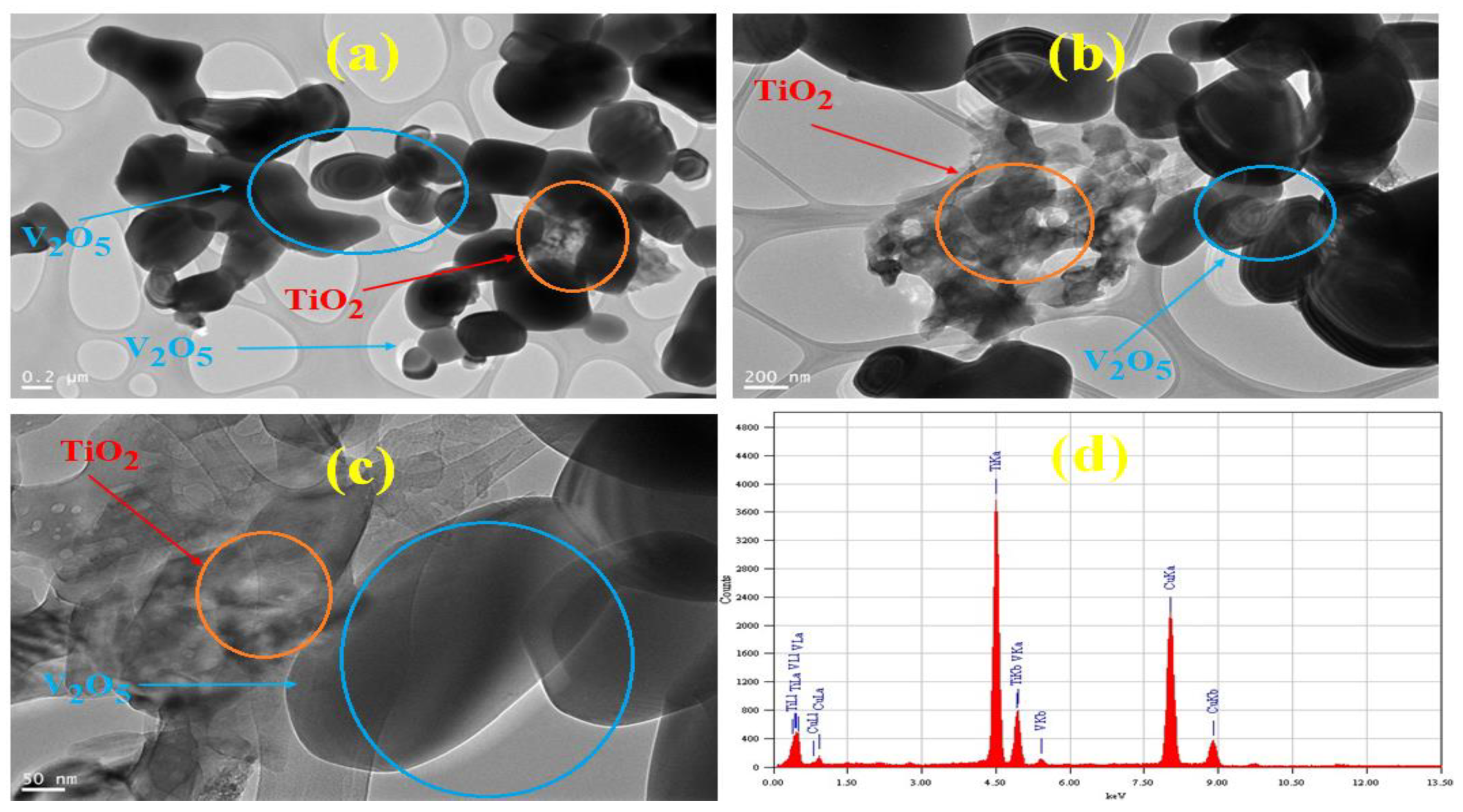 Molecules 28 00176 g002