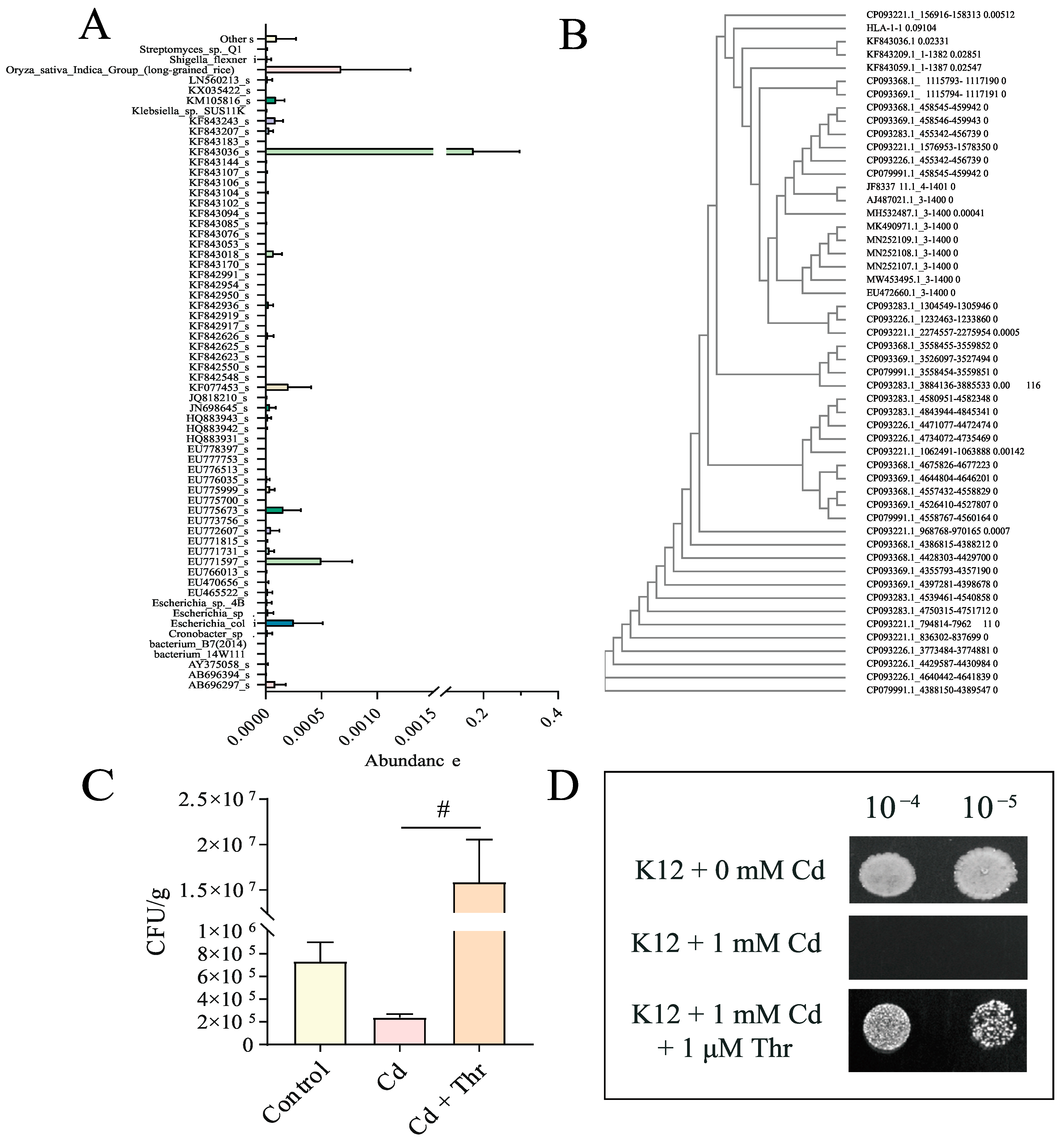 Molecules 28 00177 g004