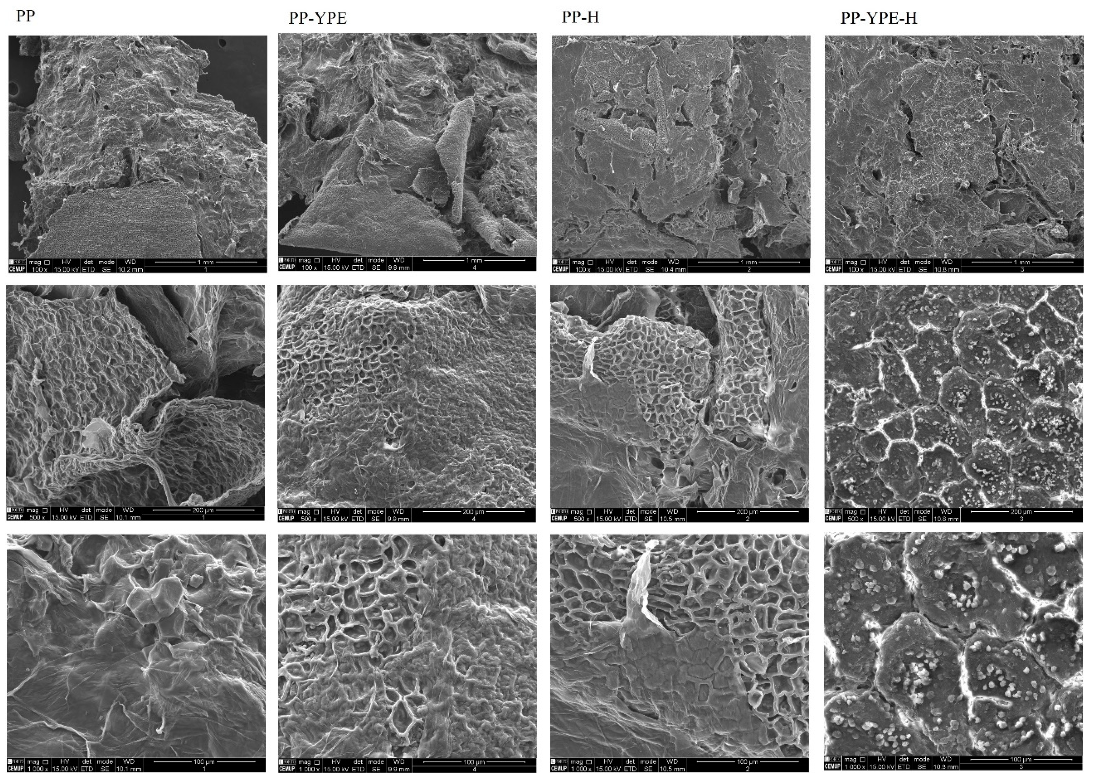 Molecules 28 00179 g006 Molecules 28 00179 g006