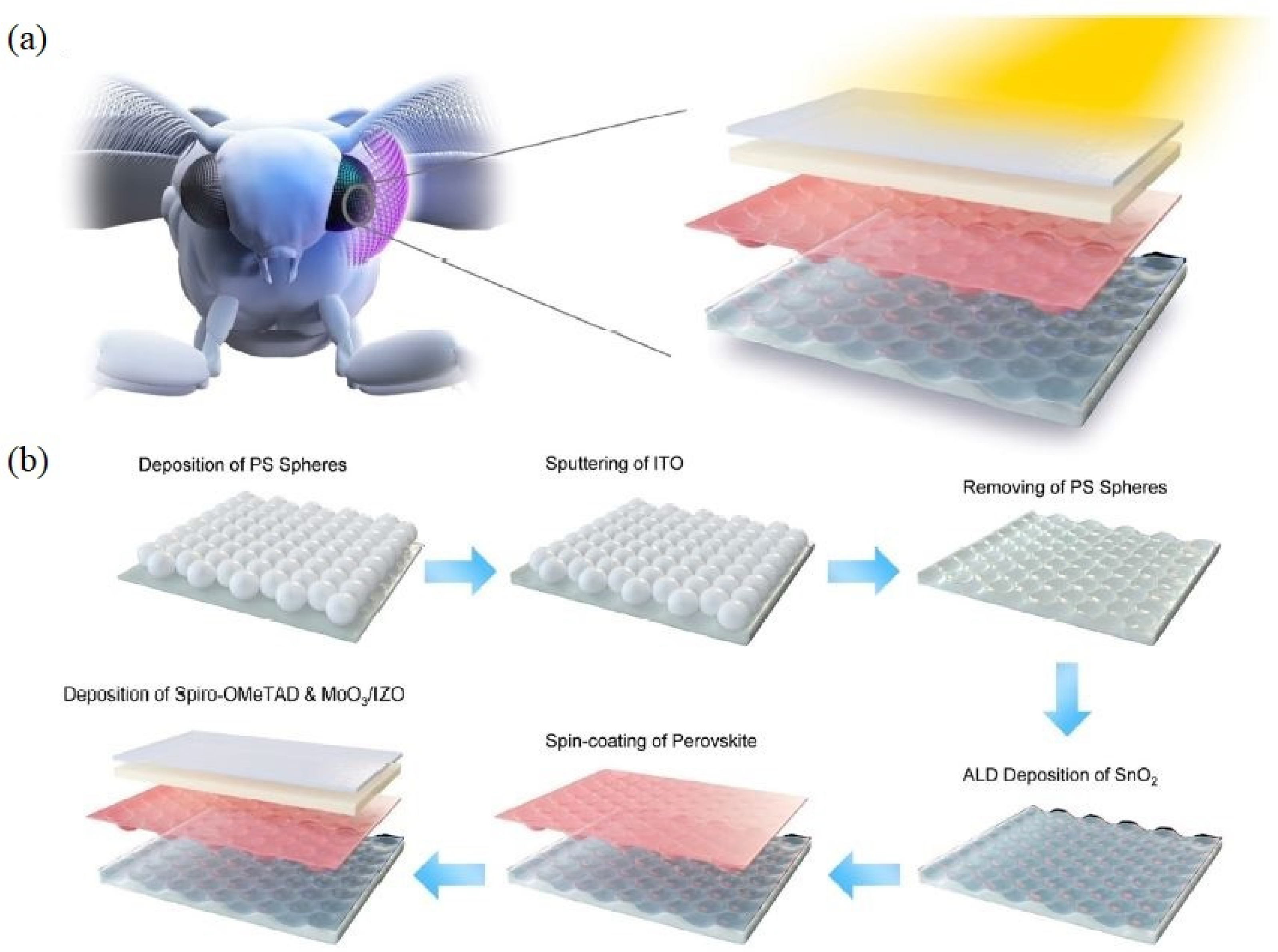 Molecules 28 00180 g005