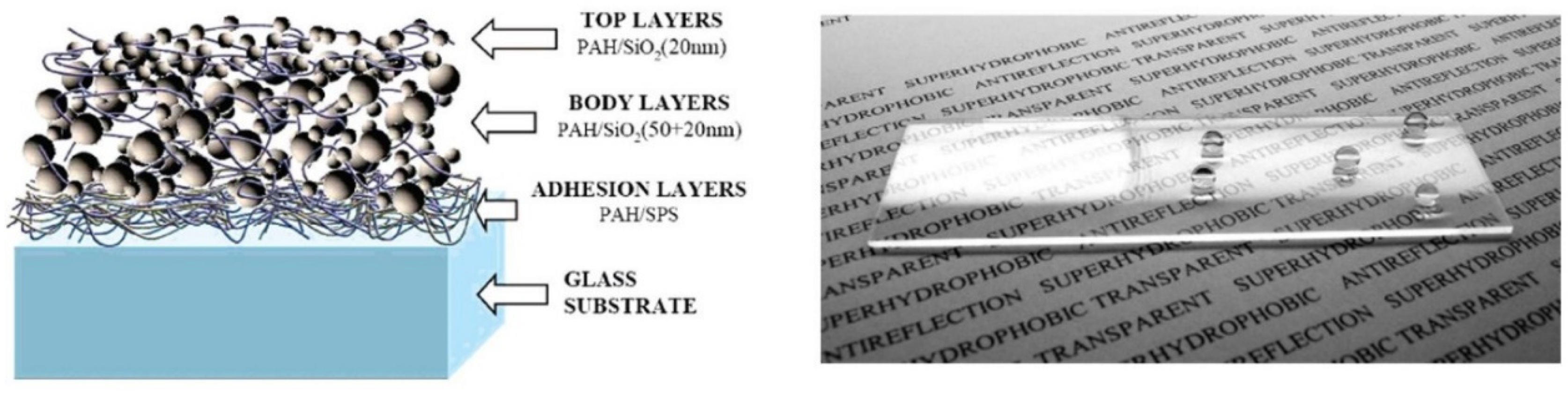 Molecules 28 00180 g007
