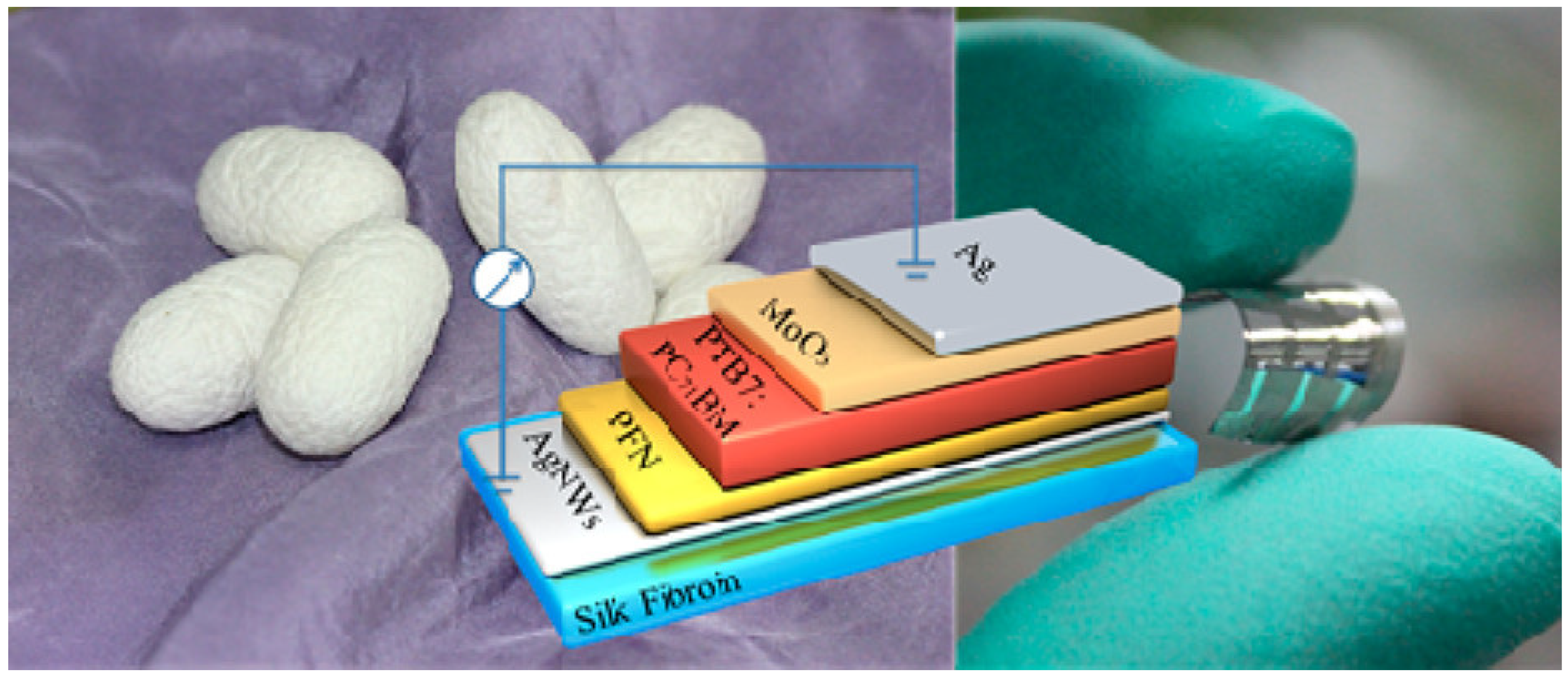 Molecules 28 00180 g008