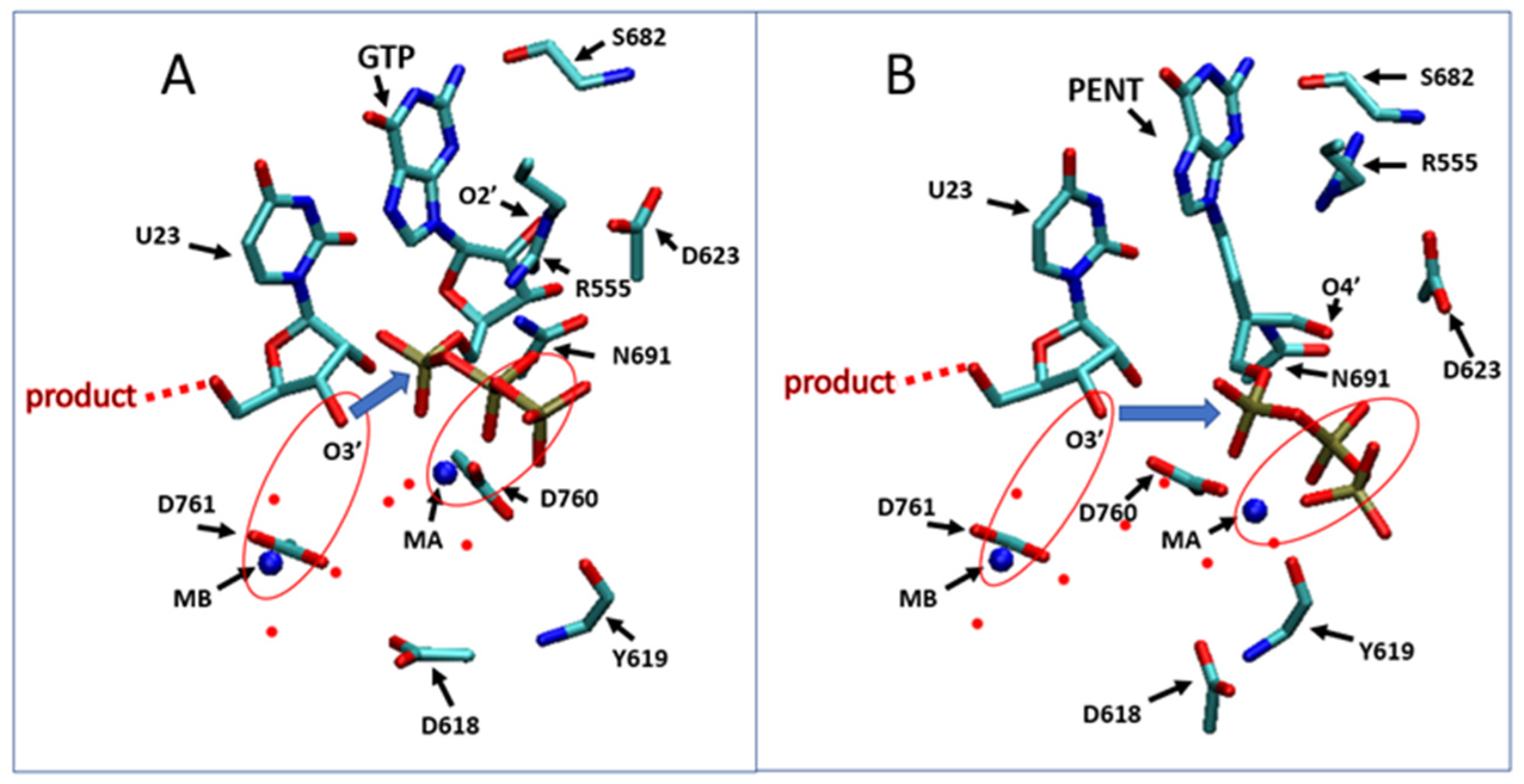 Molecules 28 00191 g005