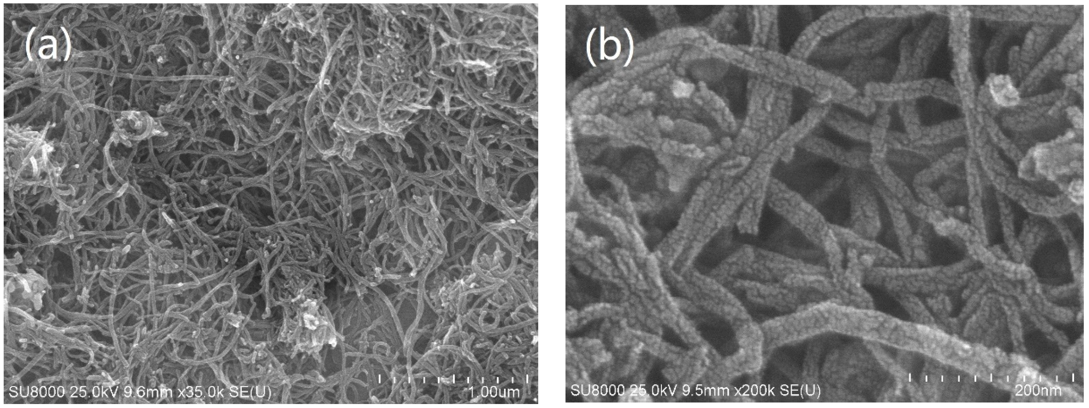 Molecules 28 00192 g002
