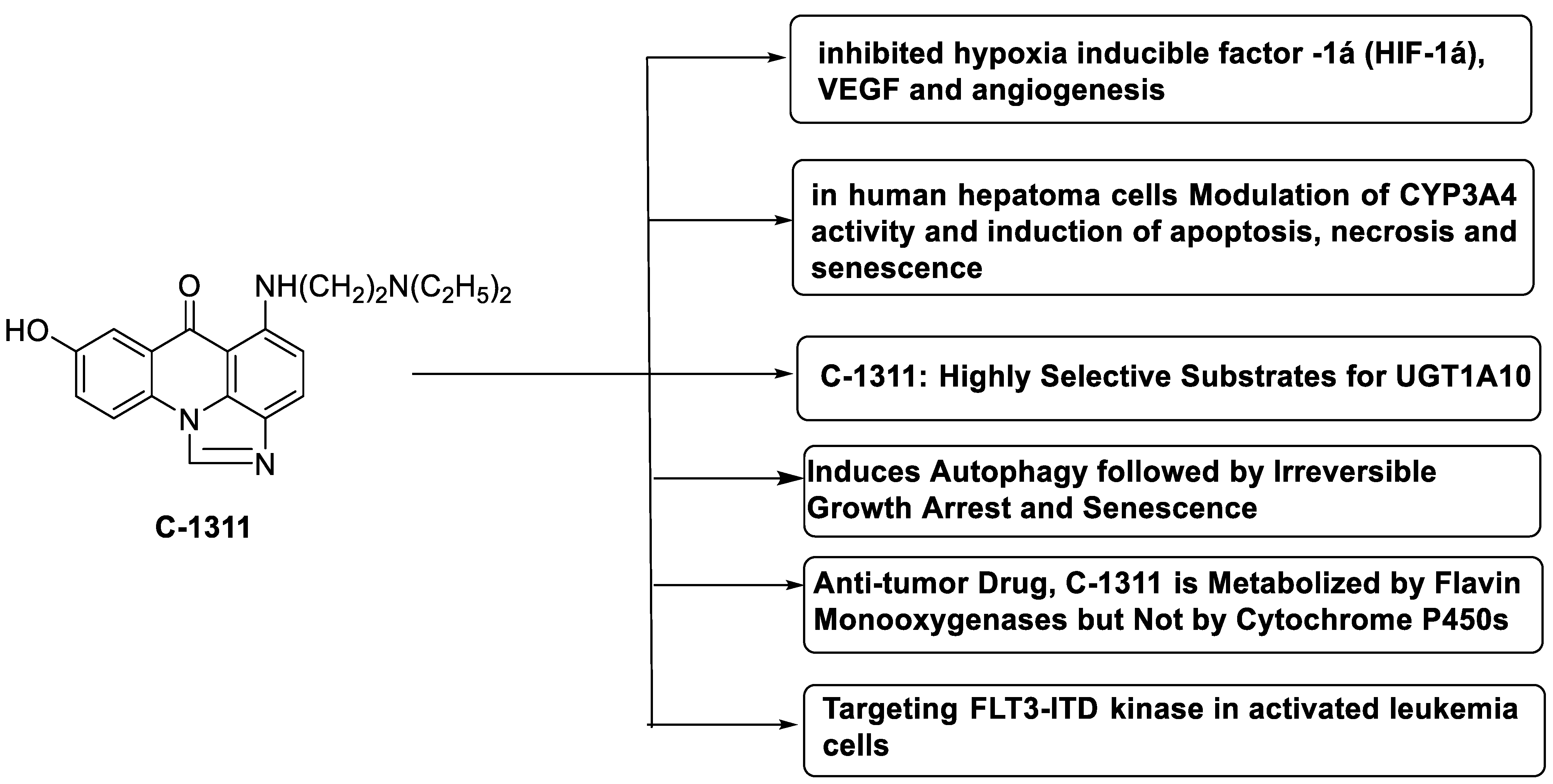 Molecules 28 00193 g007 Molecules 28 00193 g007