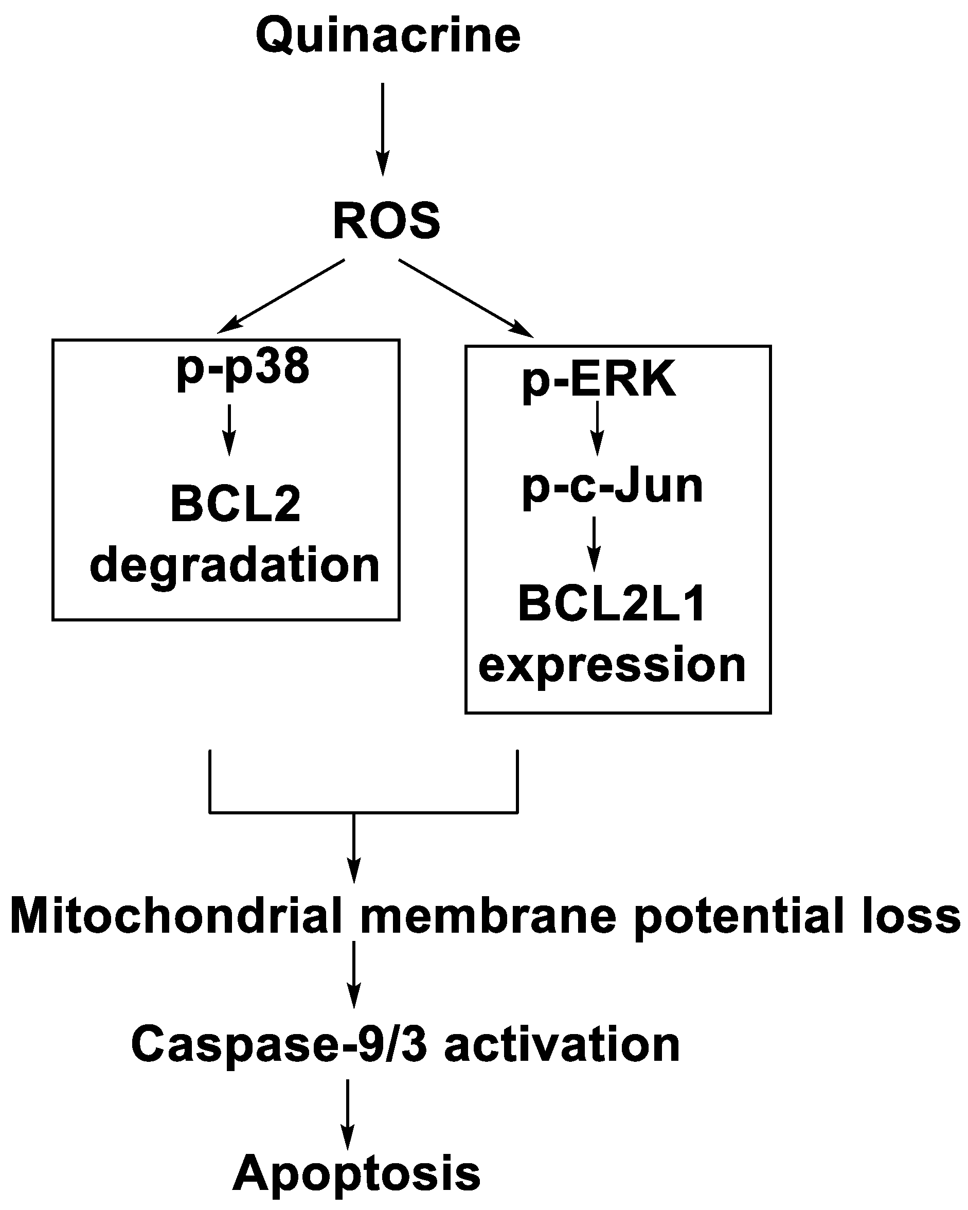 Molecules 28 00193 g011 Molecules 28 00193 g011
