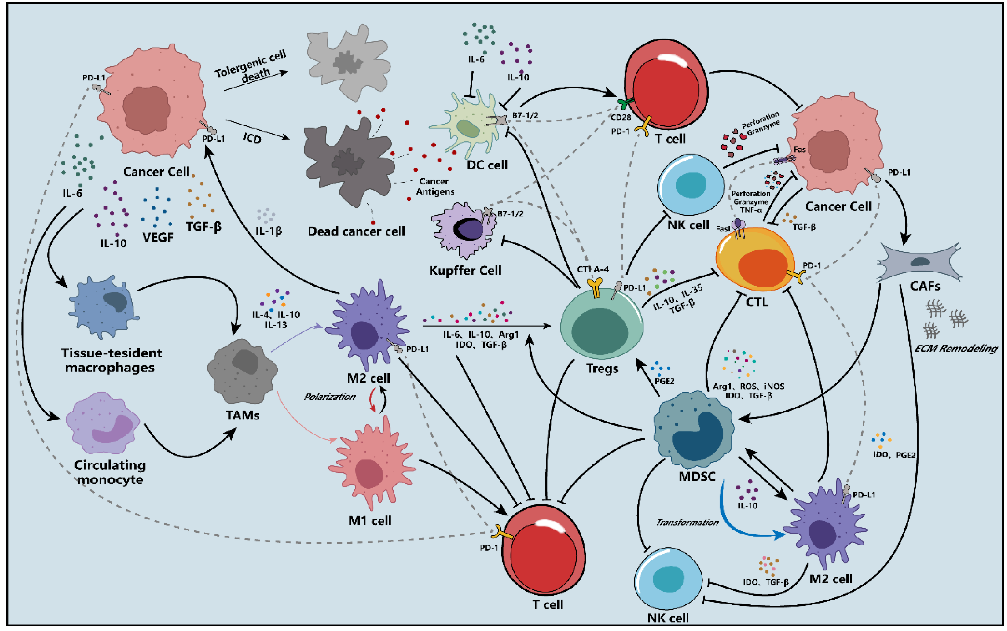 Molecules 28 00195 g001