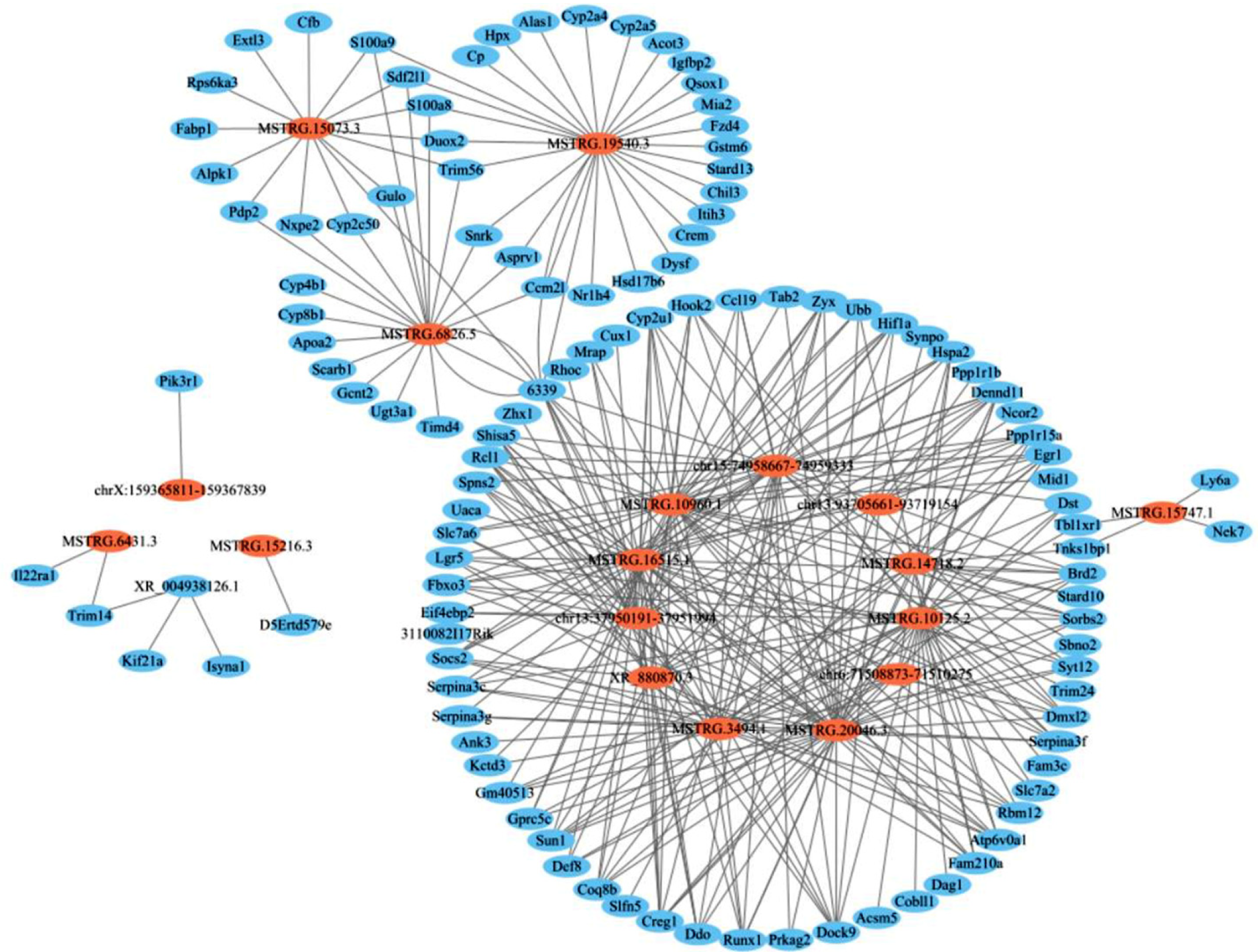 Molecules 28 00198 g005