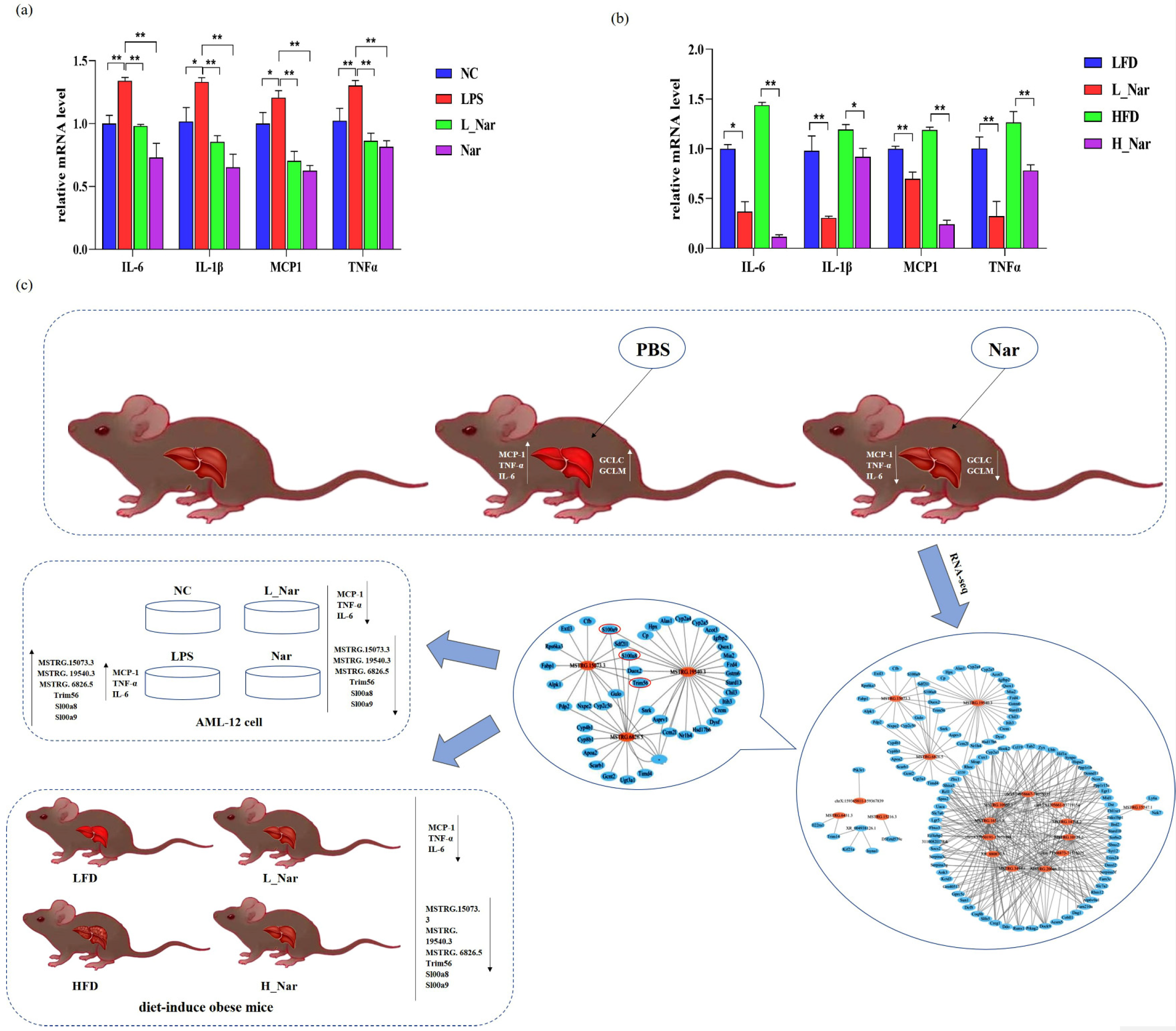 Molecules 28 00198 g007