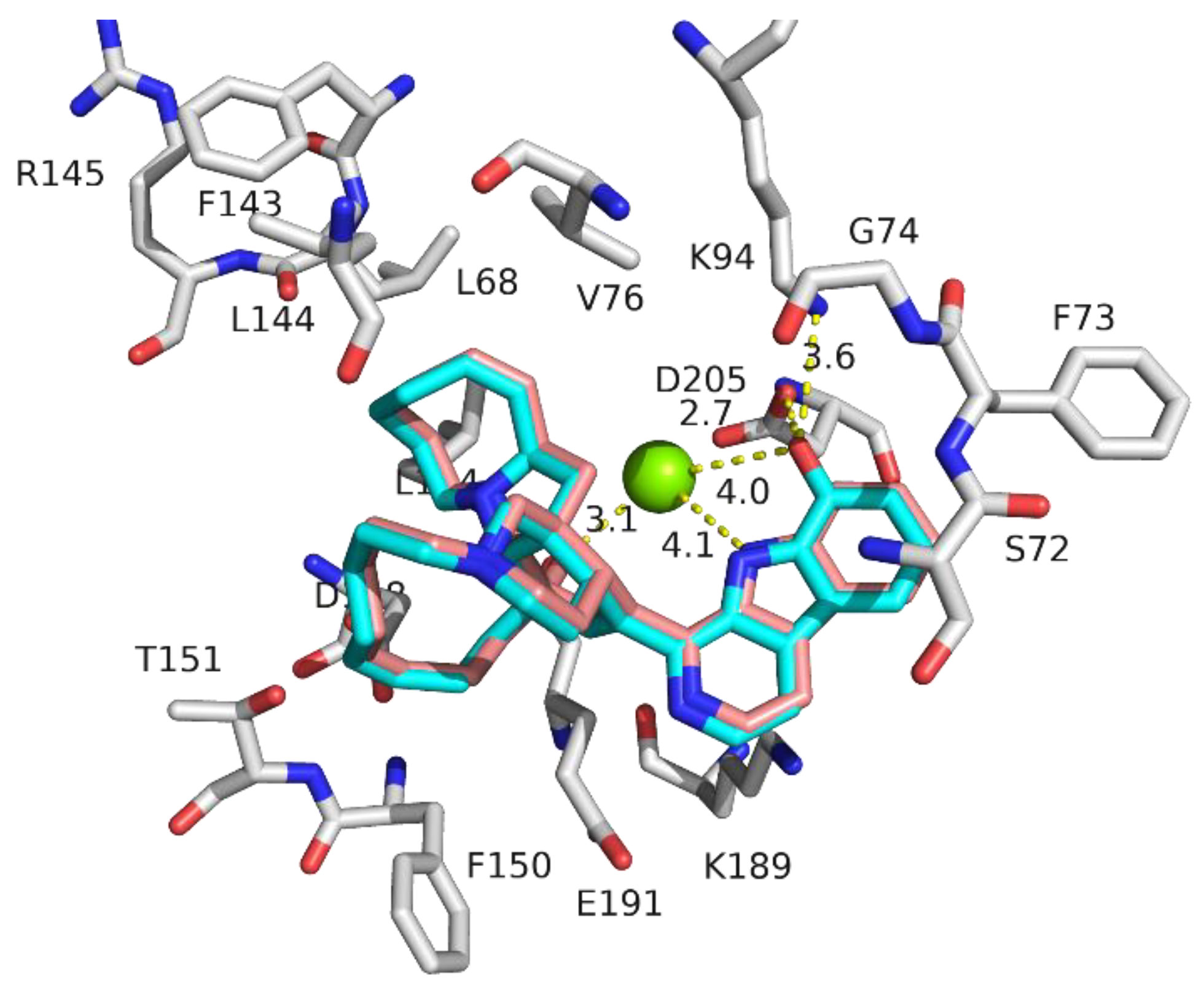Molecules 28 00202 g003 Molecules 28 00202 g003