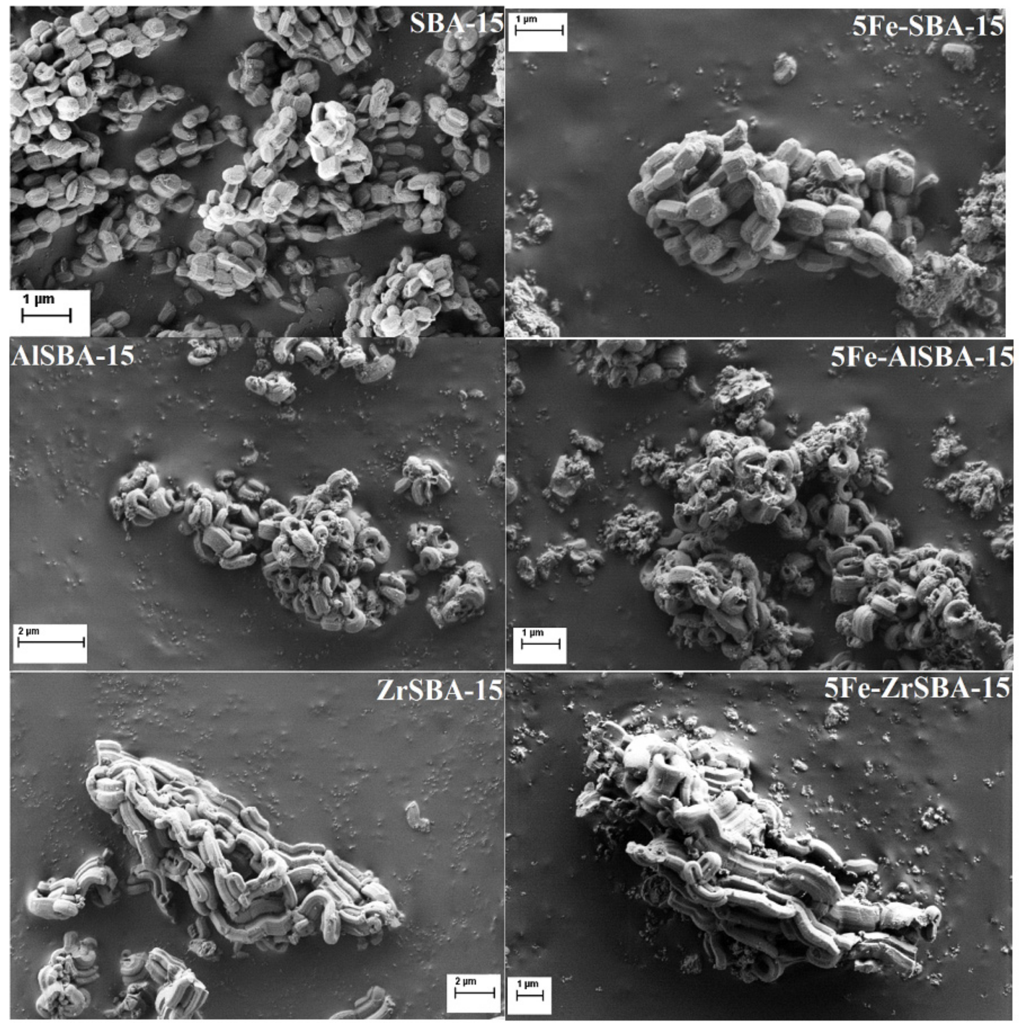 Molecules 28 00204 g003 Molecules 28 00204 g003