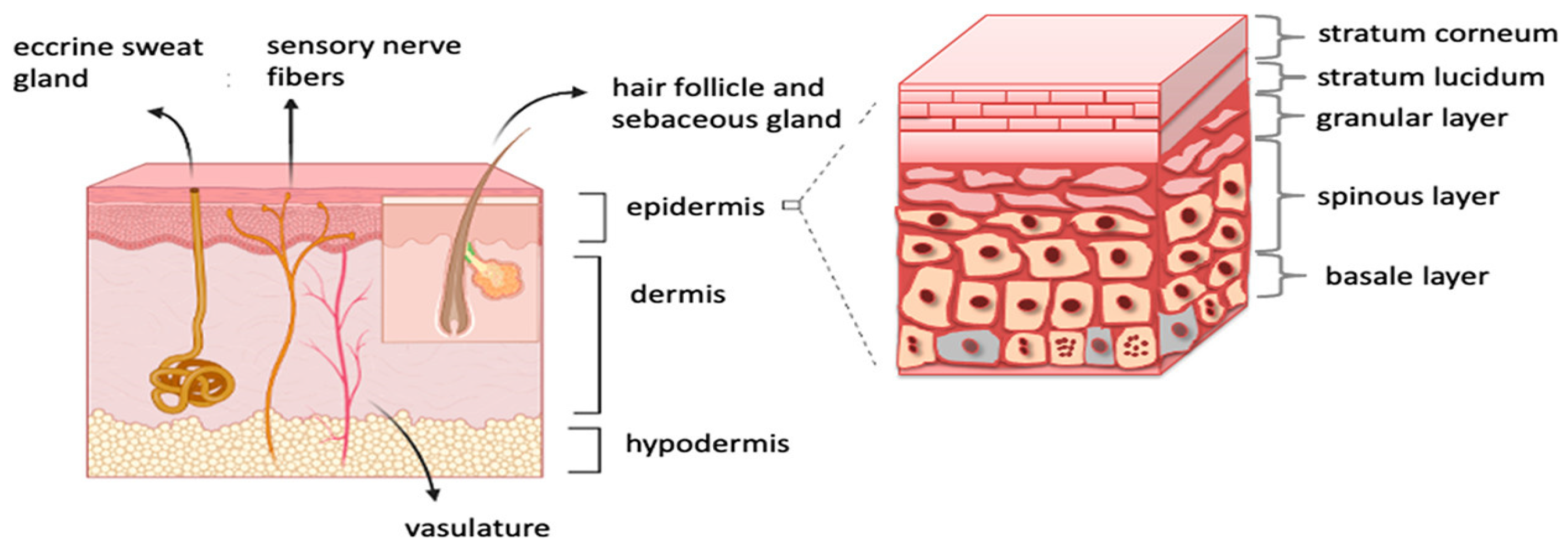 Molecules 28 00205 g001 Molecules 28 00205 g001