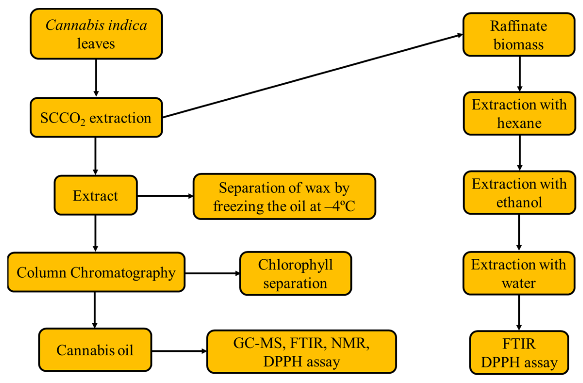 Molecules 28 00207 g007 Molecules 28 00207 g007