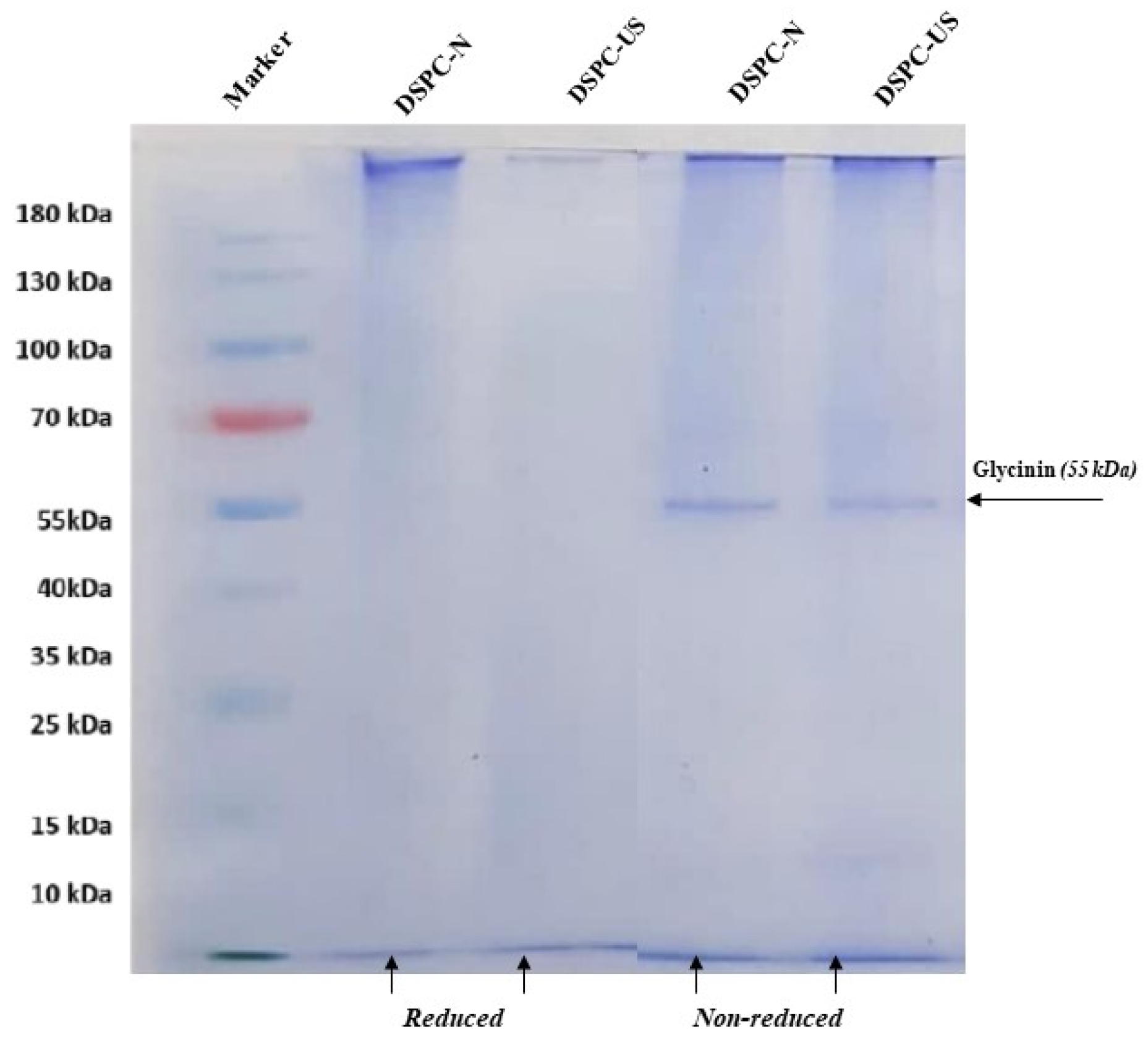 Molecules 28 00209 g003 Molecules 28 00209 g003