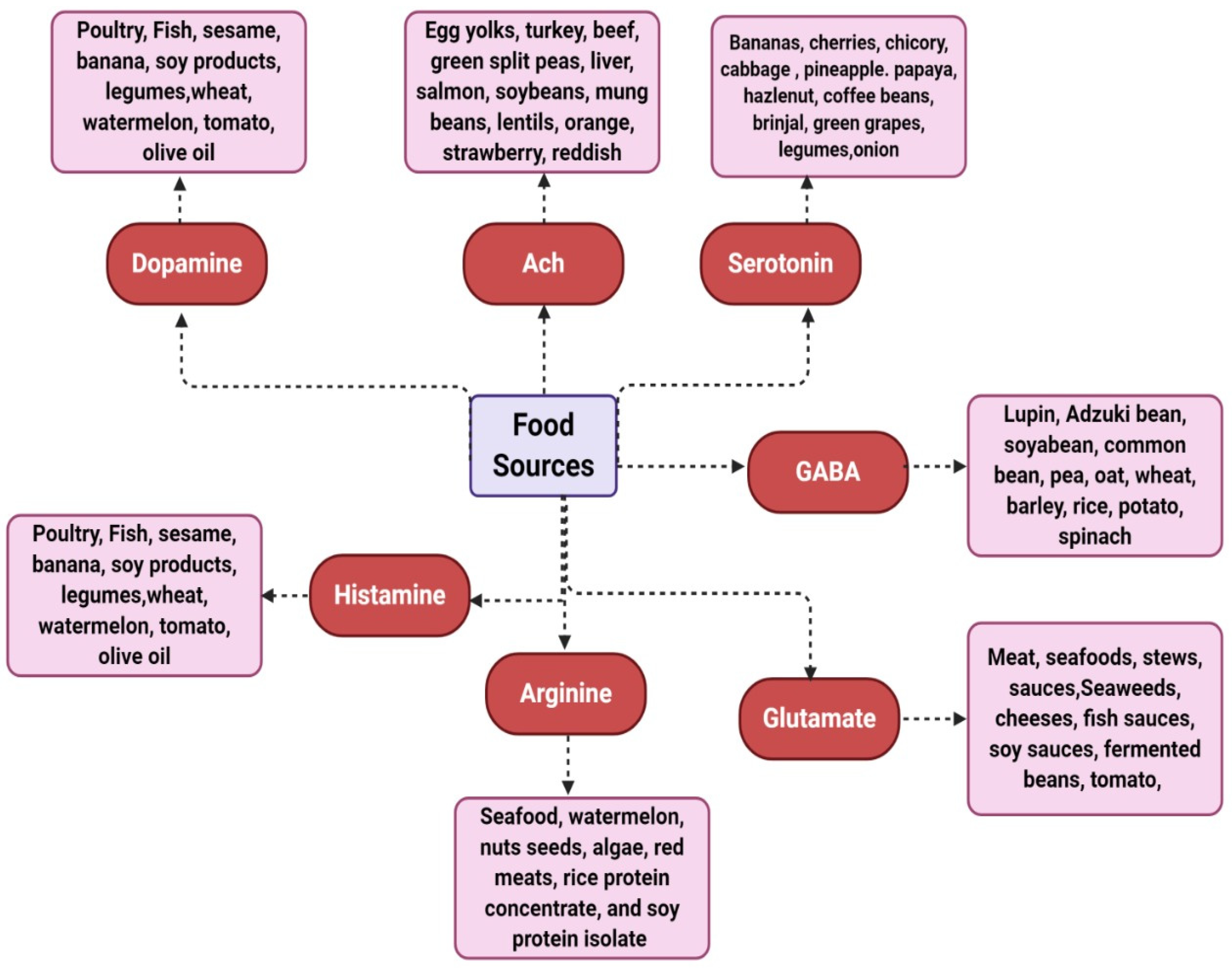 Neurotransmitters Regulation and Food Intake: The Role of Dietary ...