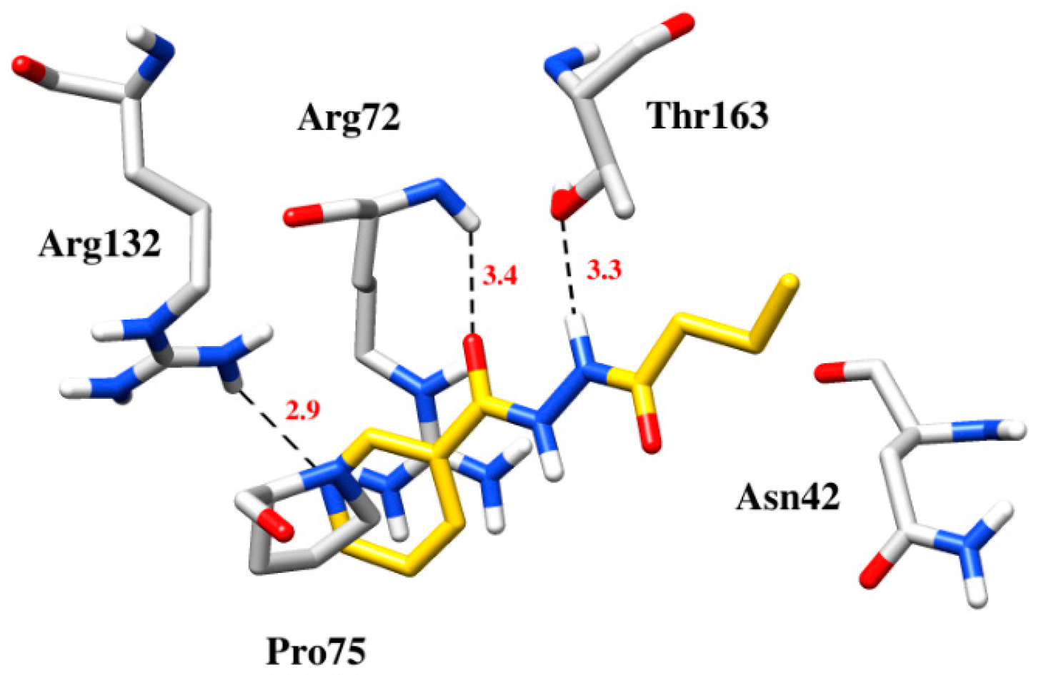 Molecules 28 00212 g011 Molecules 28 00212 g011