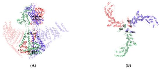 Immunoregulatory Role of the Mechanosensitive Ion Channel Piezo1 in ...